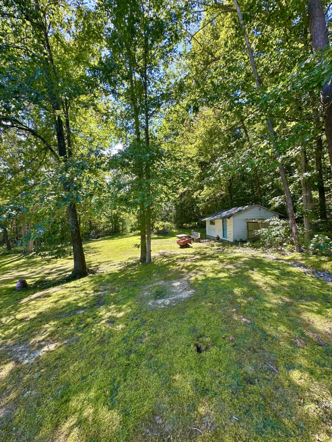 4801 Nicelytown RD - Photo 86
