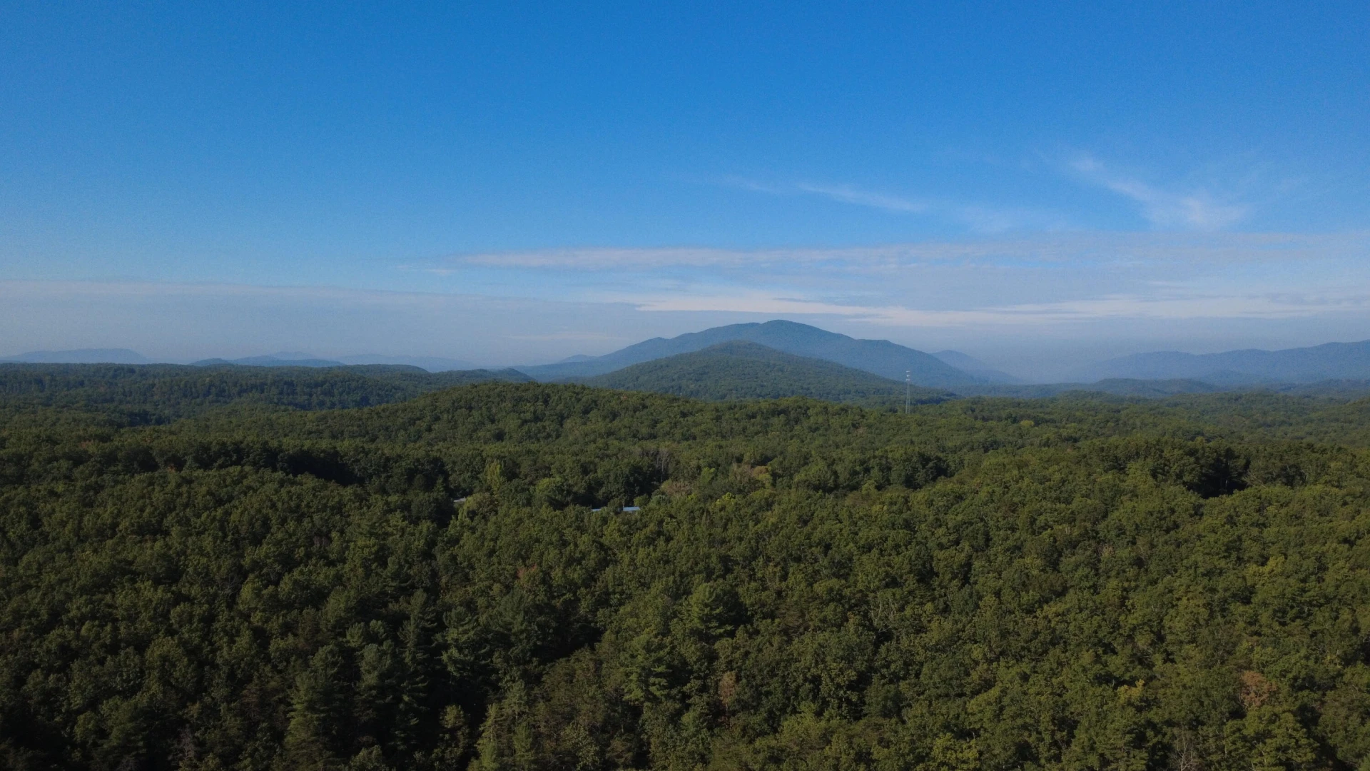 4801 Nicelytown RD - Photo 96