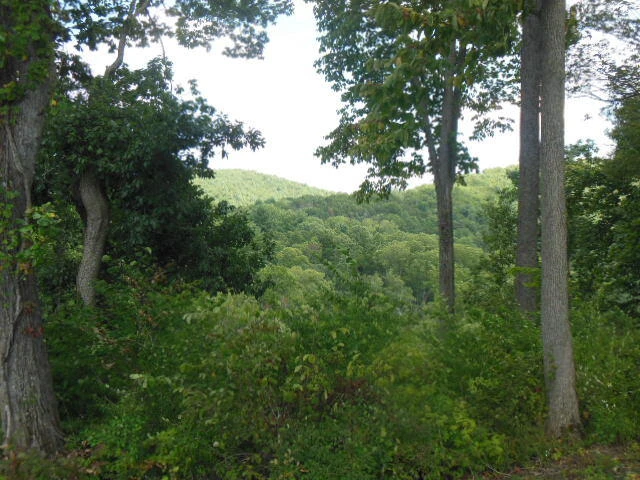 6266 Piney Woods RD - Photo 25
