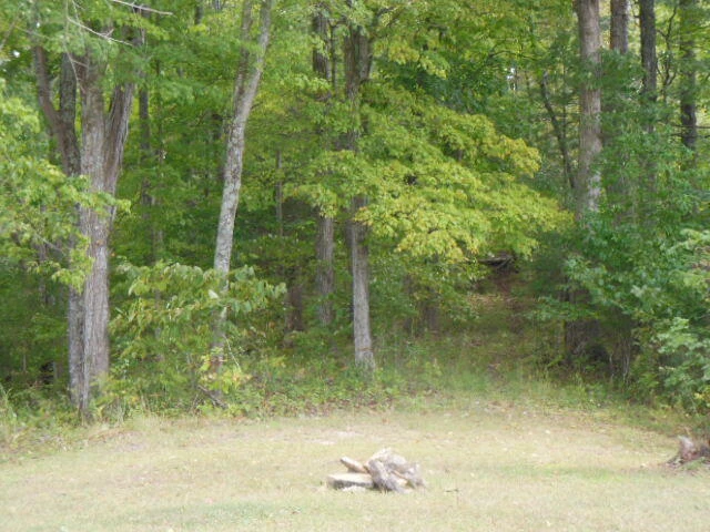 6266 Piney Woods RD - Photo 26