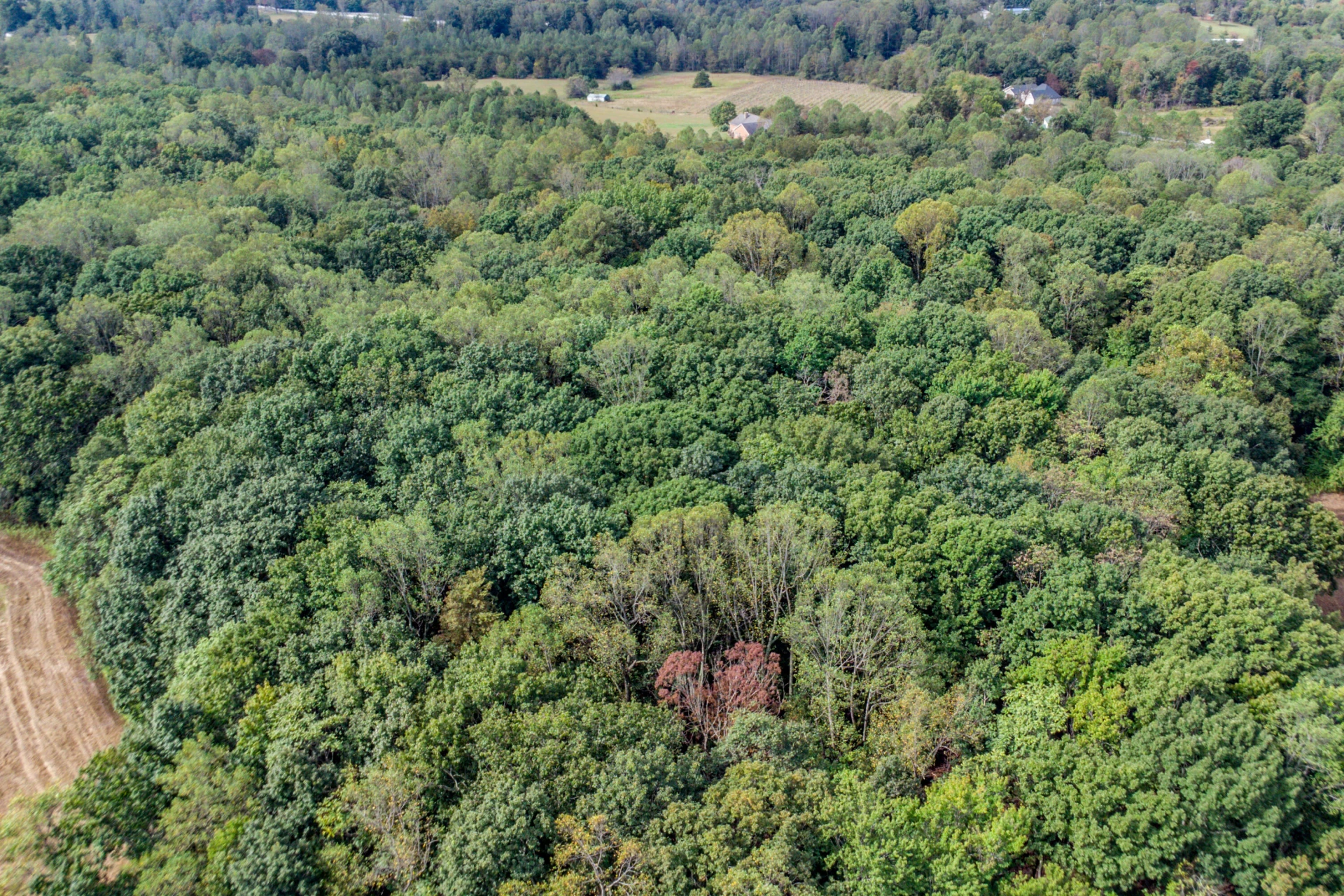 Lot 24 Hickory Cove LN - Photo 12