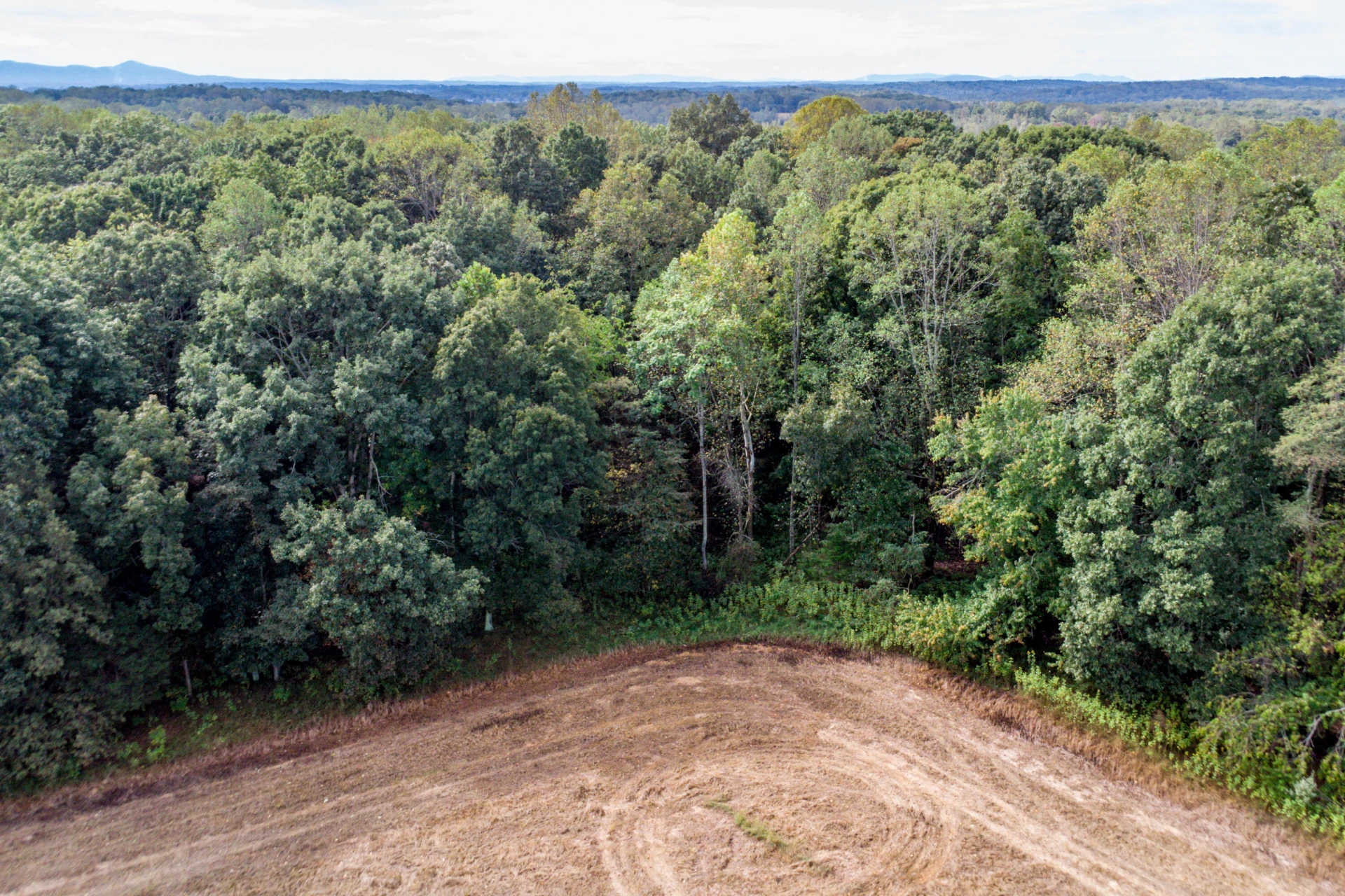 Lot 24 Hickory Cove LN - Photo 13
