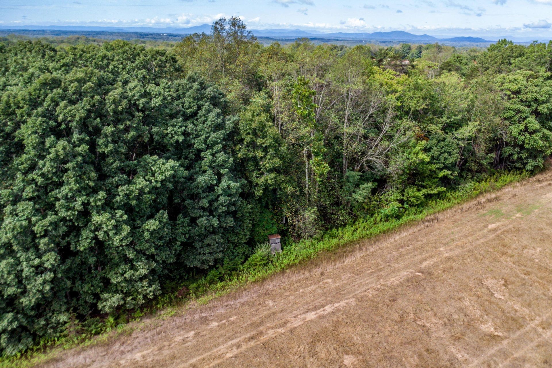 Lot 24 Hickory Cove LN - Photo 14