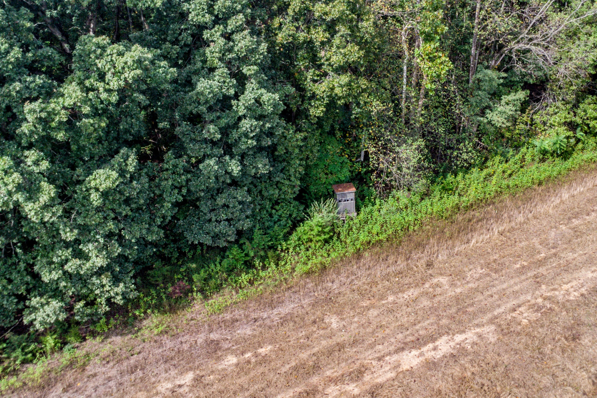 Lot 24 Hickory Cove LN - Photo 15