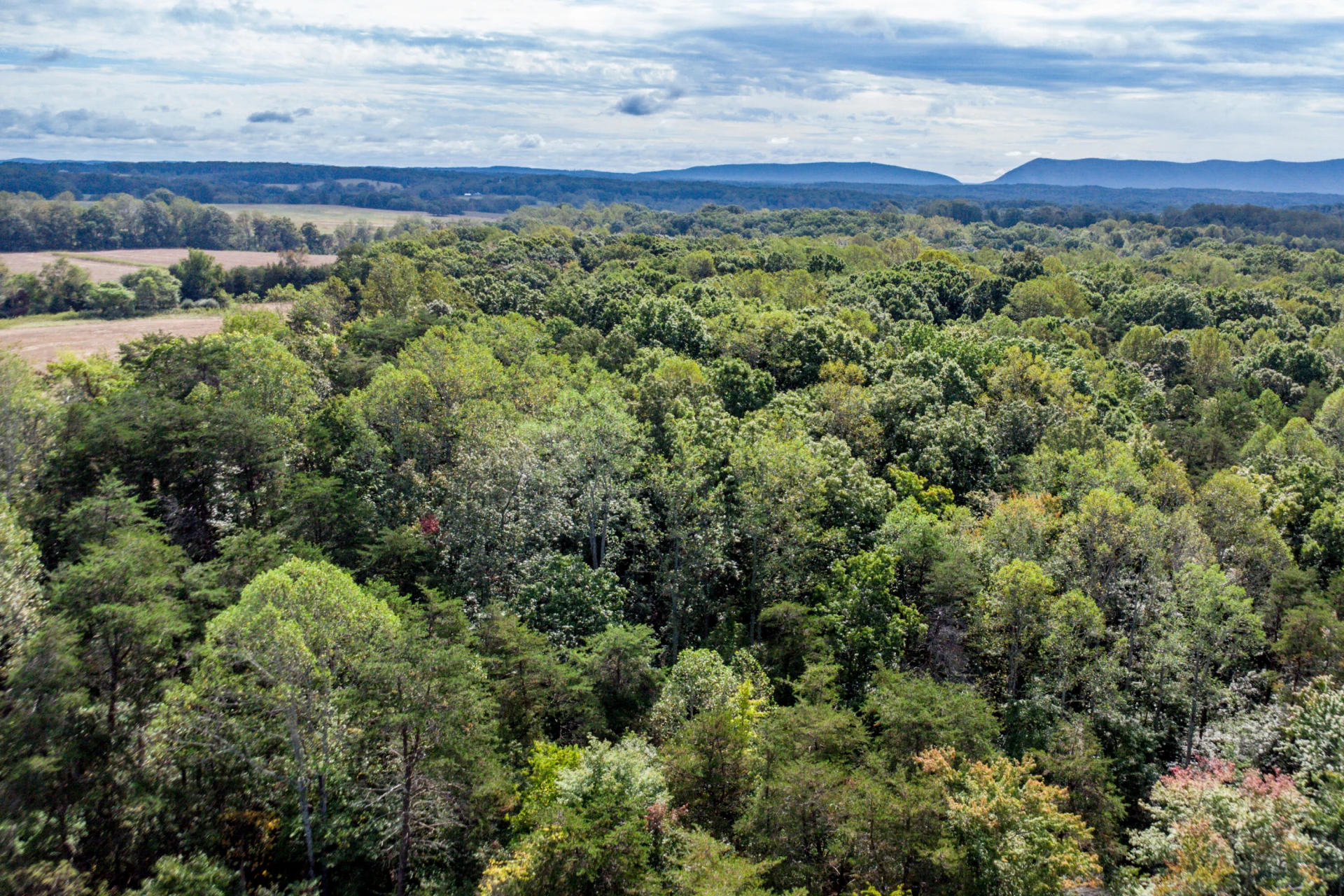 Lot 24 Hickory Cove LN - Photo 17