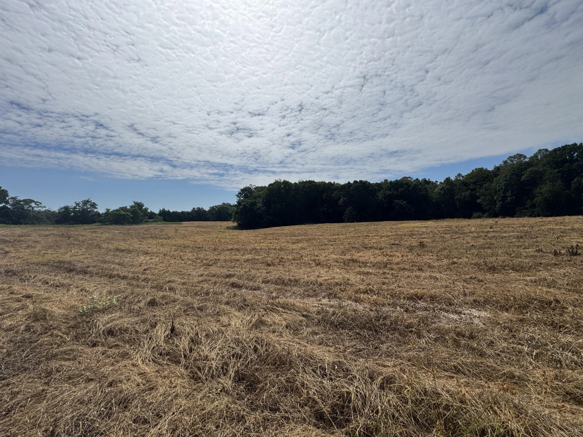 Lot 24 Hickory Cove LN - Photo 19
