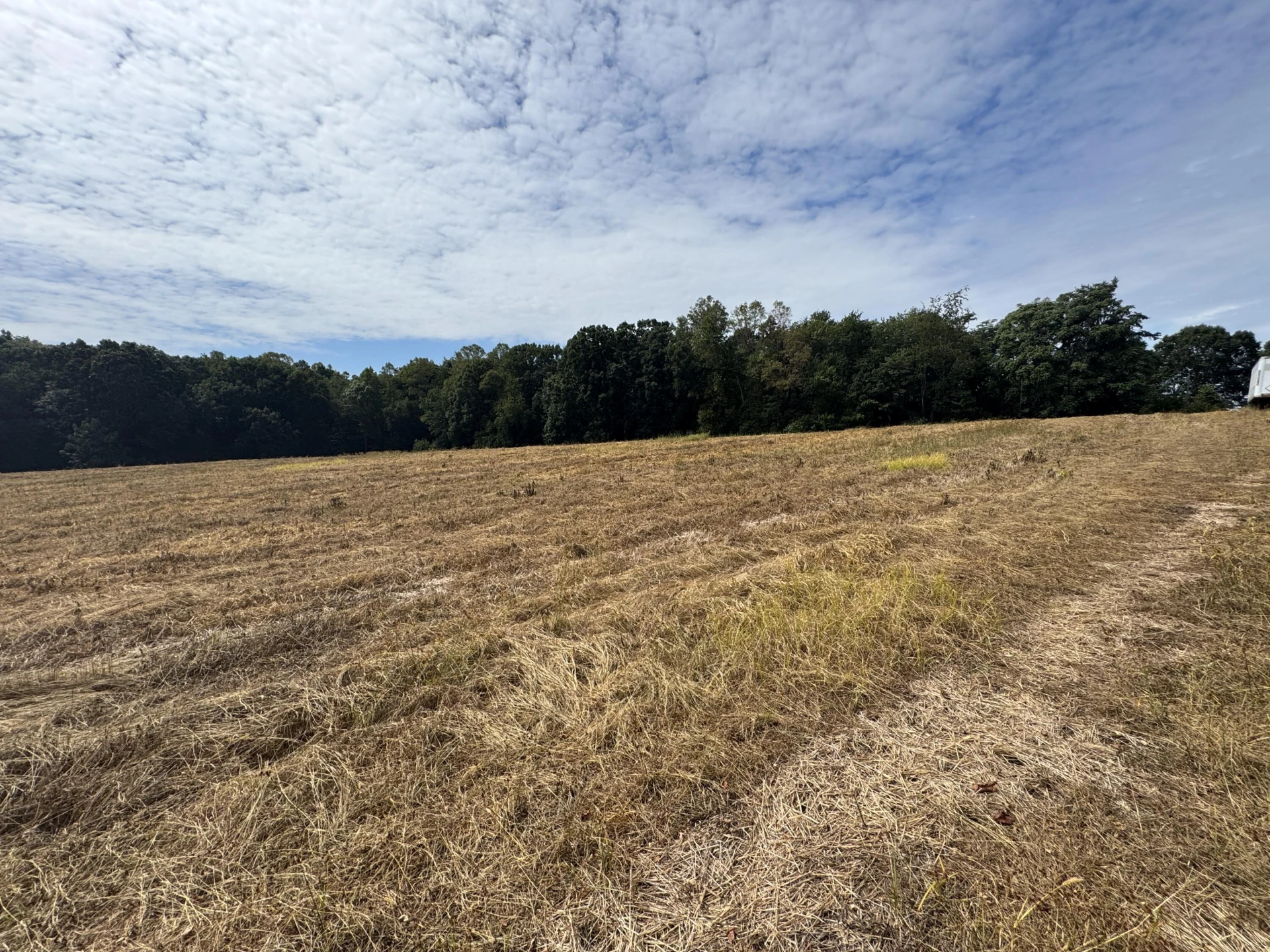 Lot 24 Hickory Cove LN - Photo 20