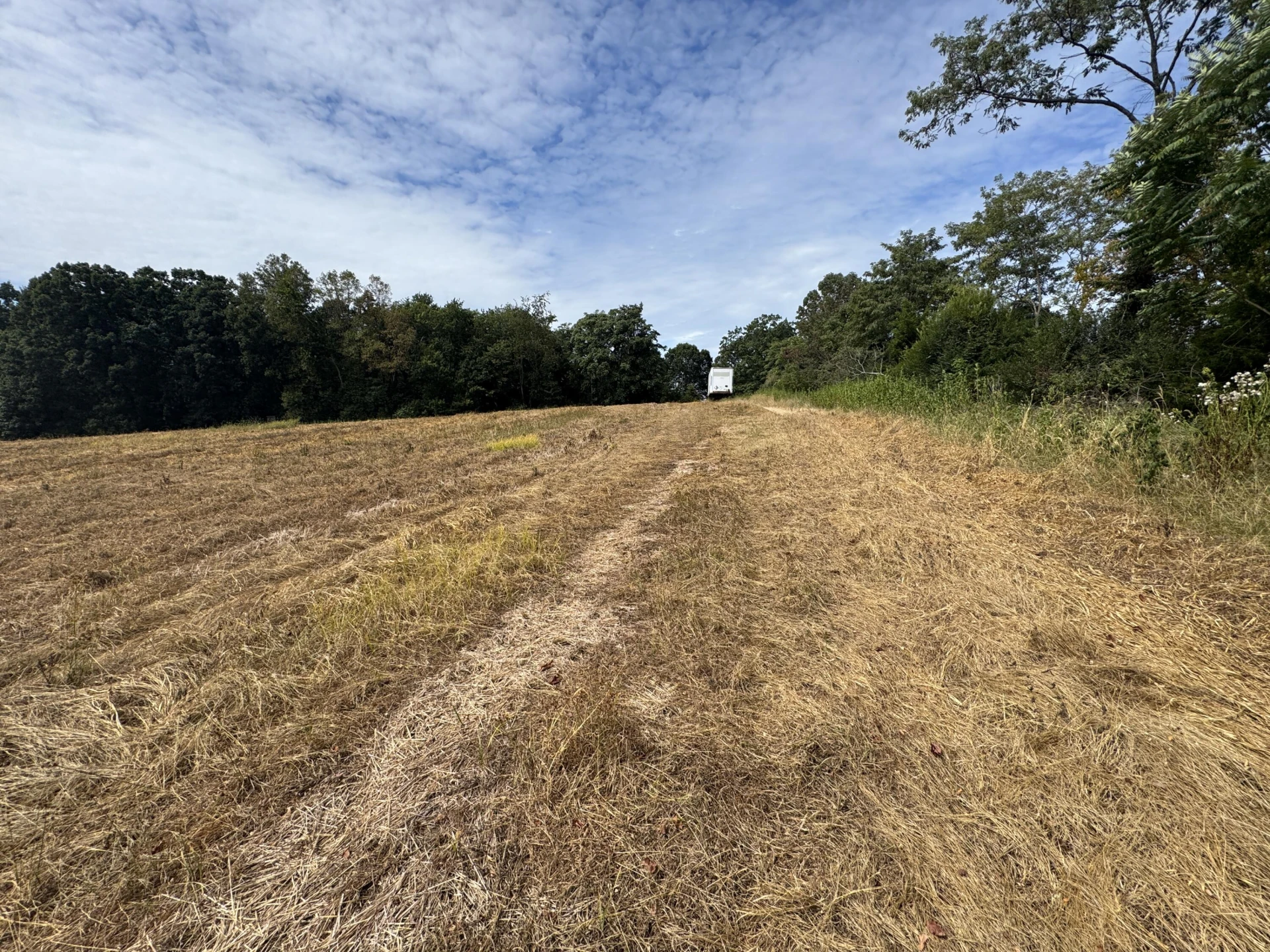 Lot 24 Hickory Cove LN - Photo 21
