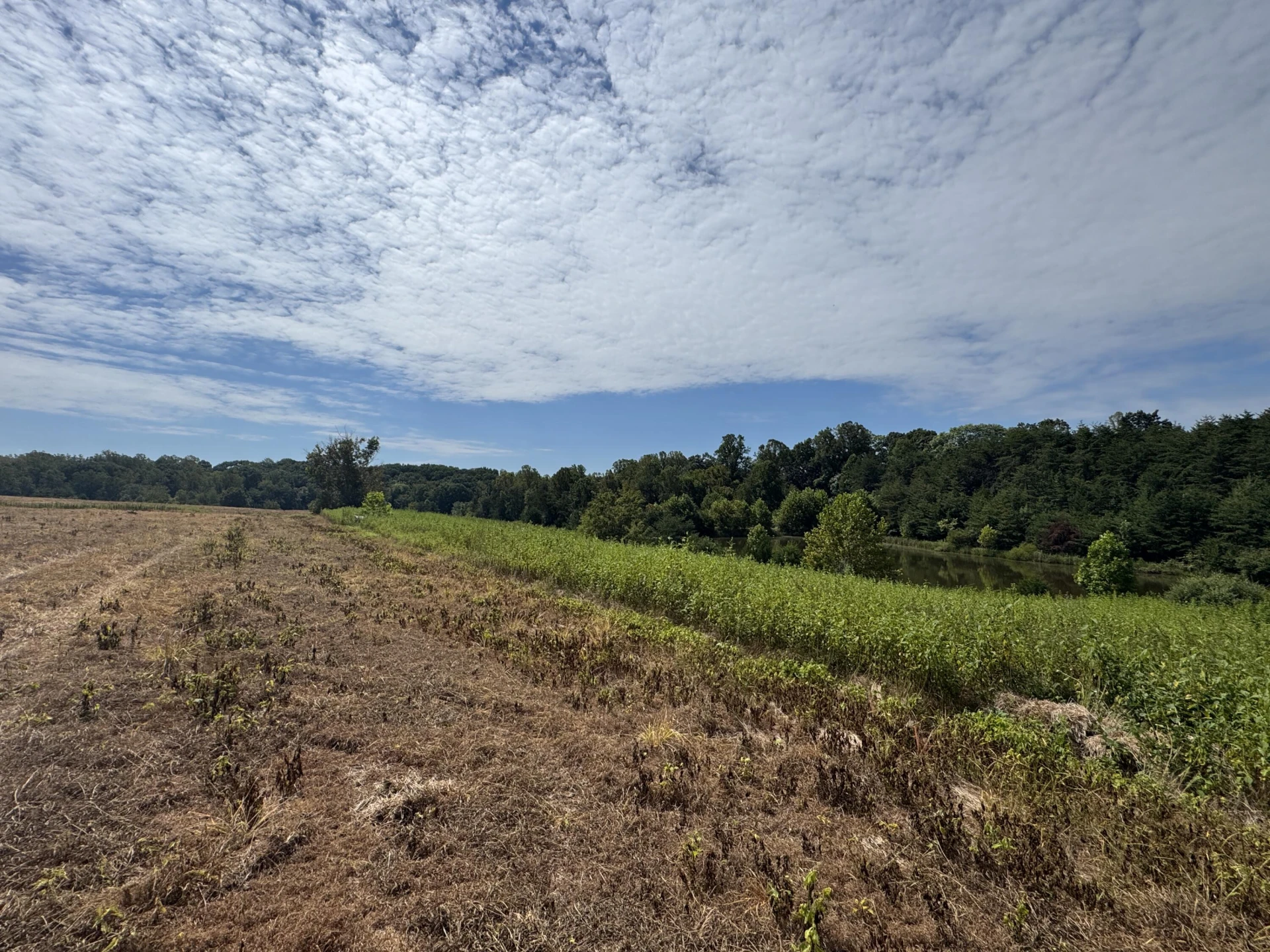 Lot 24 Hickory Cove LN - Photo 22
