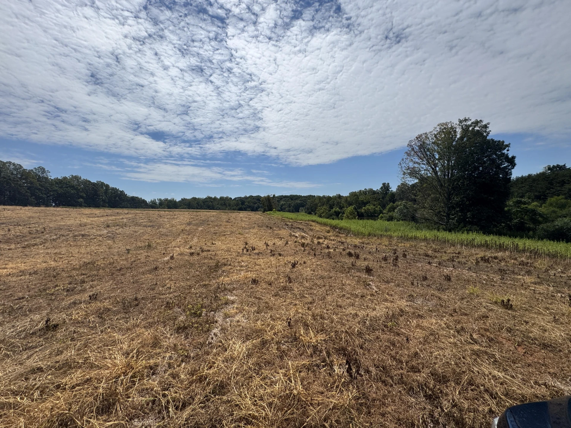 Lot 24 Hickory Cove LN - Photo 23