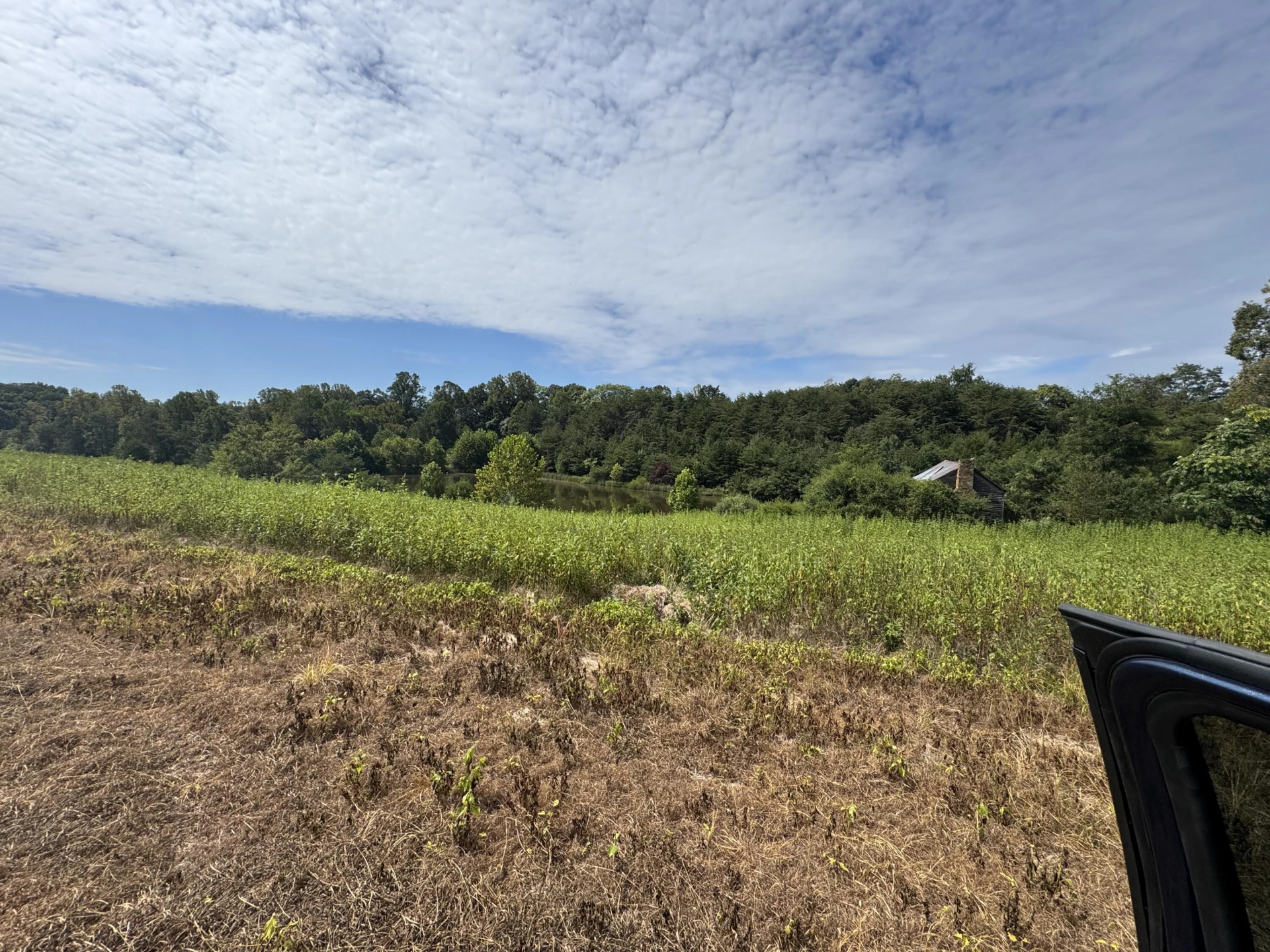 Lot 24 Hickory Cove LN - Photo 24