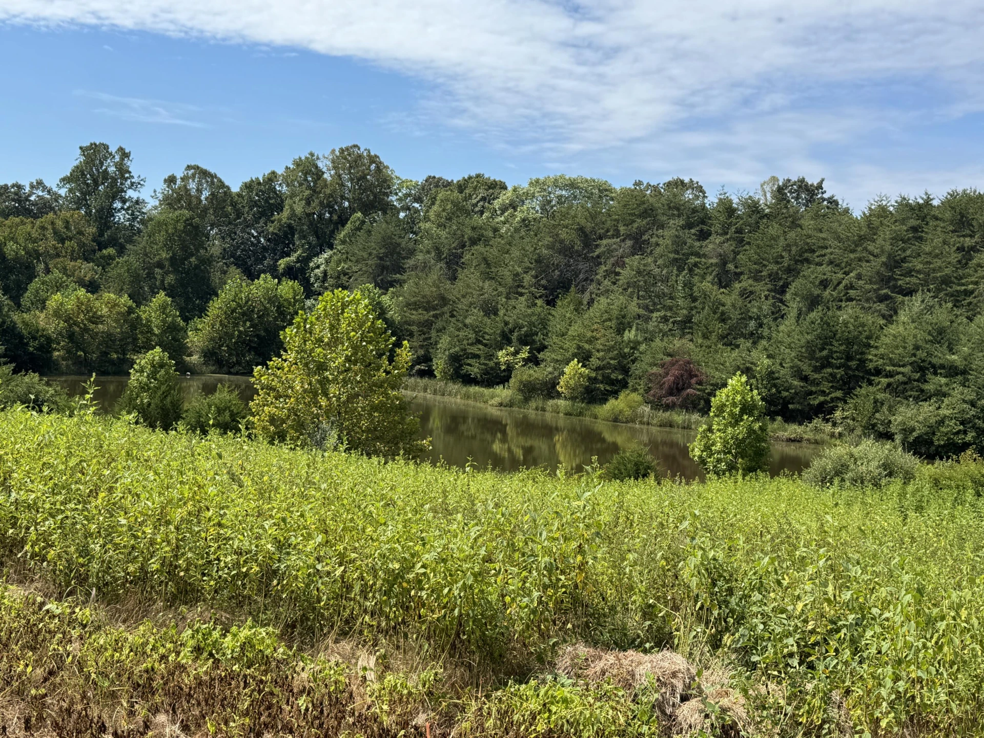 Lot 24 Hickory Cove LN - Photo 25