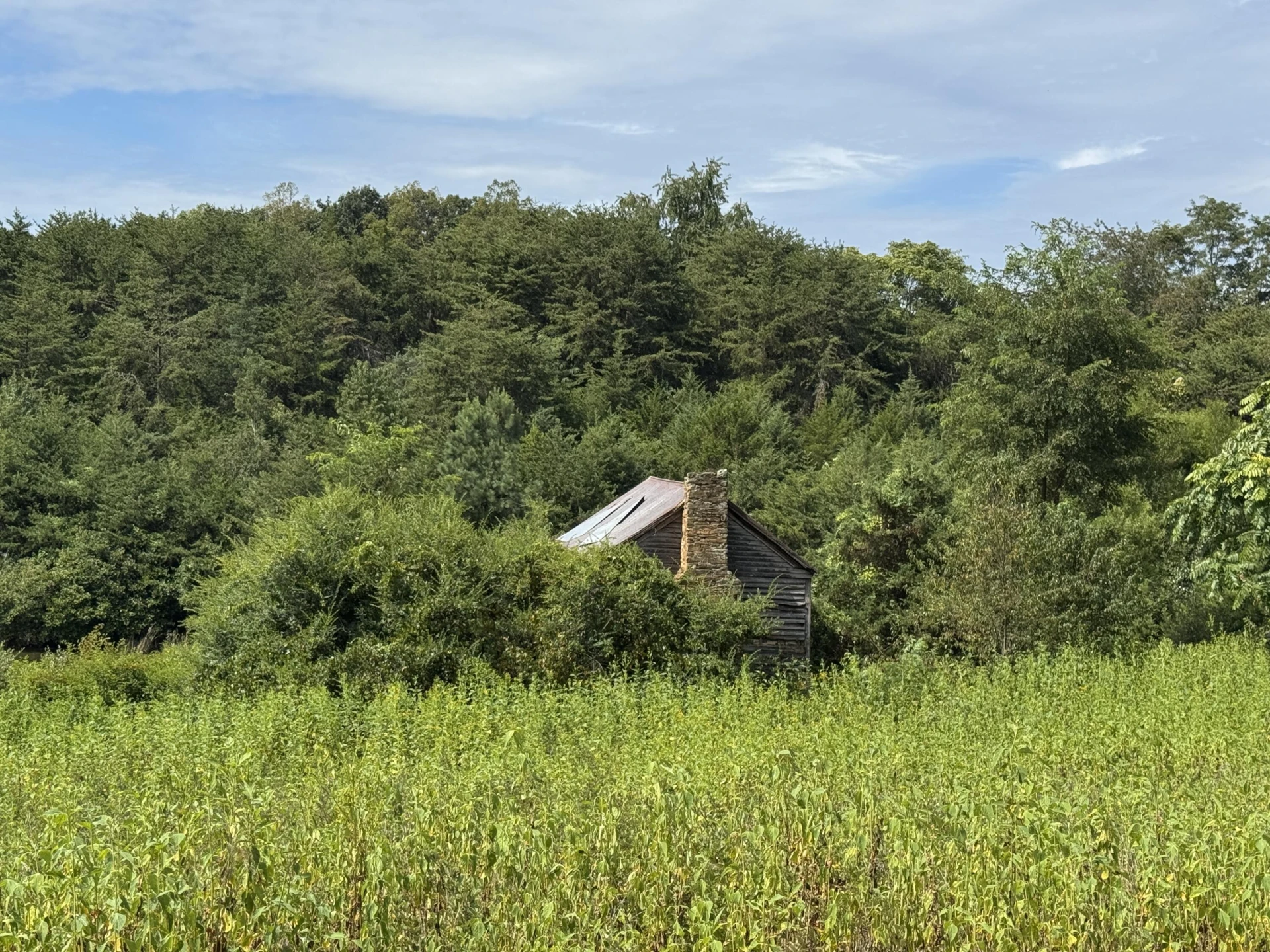 Lot 24 Hickory Cove LN - Photo 26