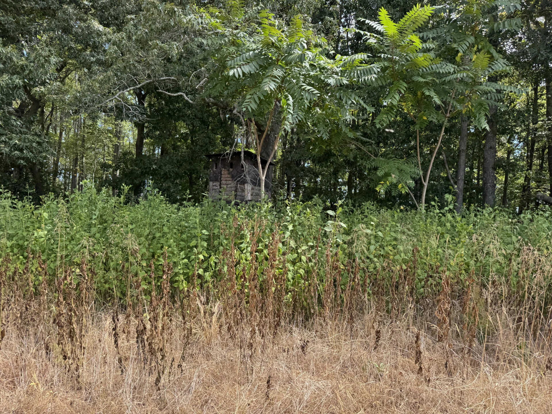 Lot 24 Hickory Cove LN - Photo 28