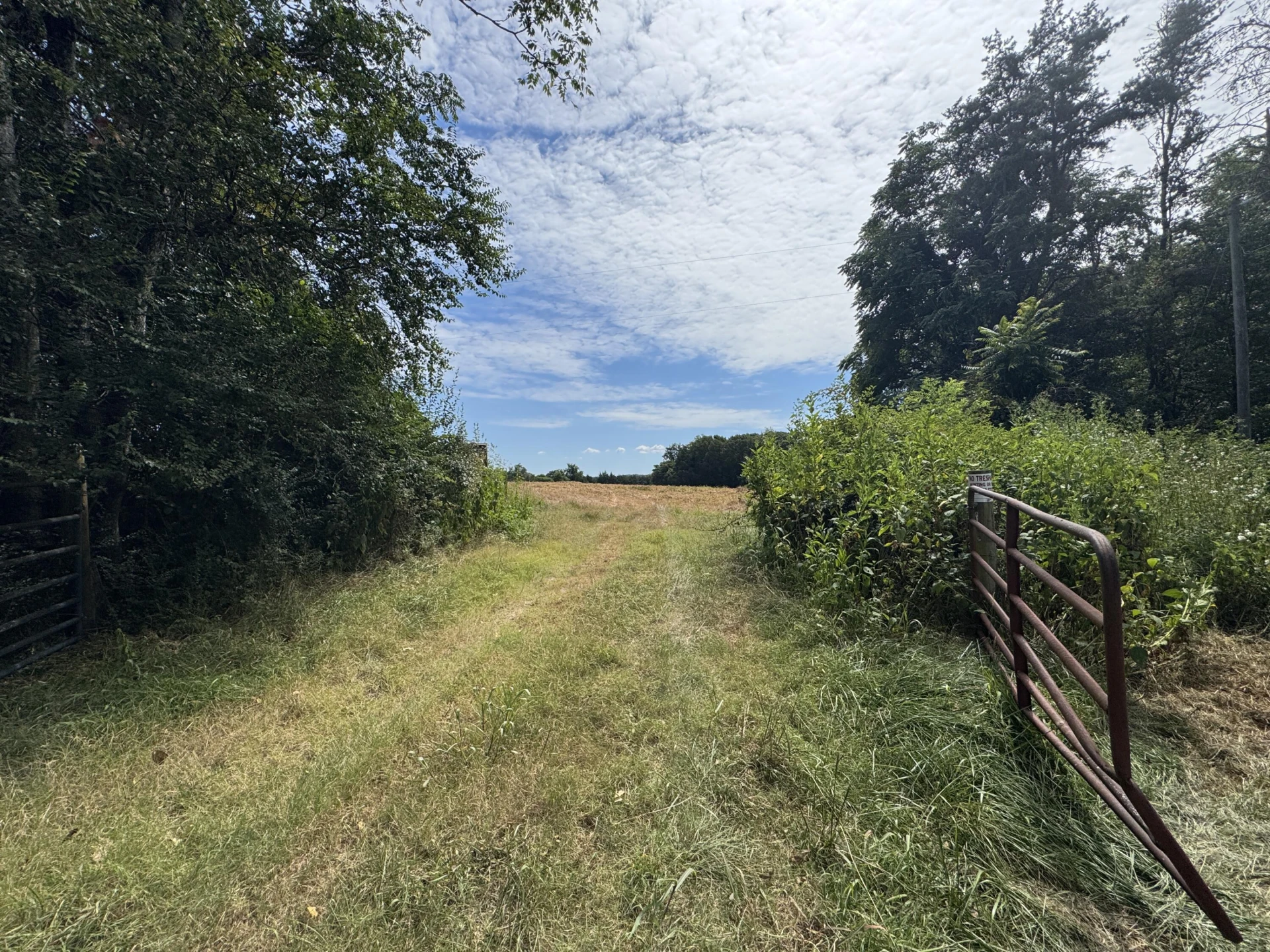 Lot 24 Hickory Cove LN - Photo 32