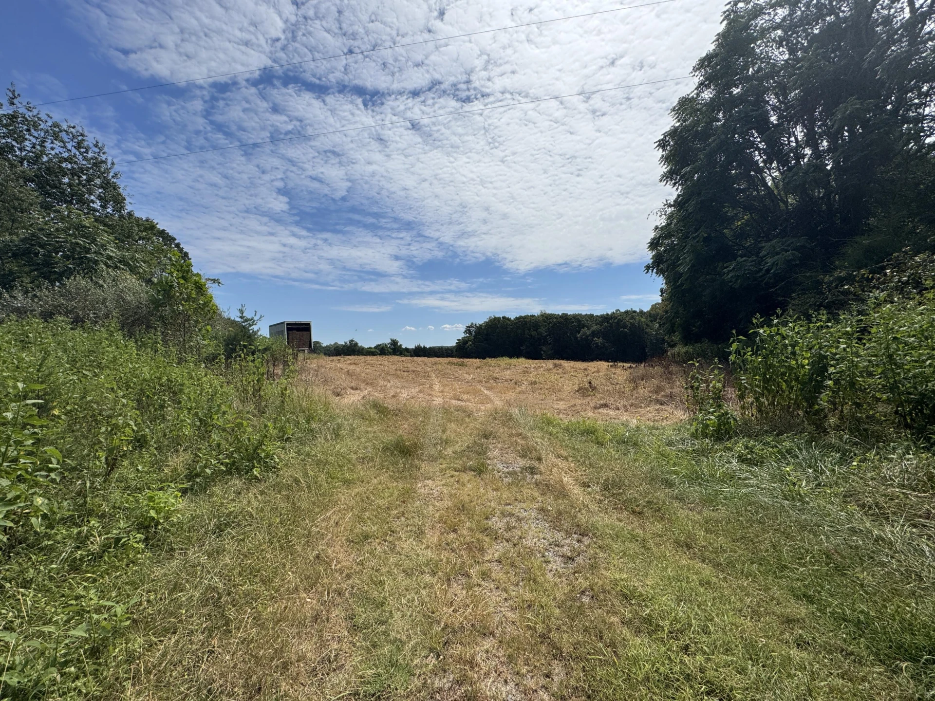 Lot 24 Hickory Cove LN - Photo 33
