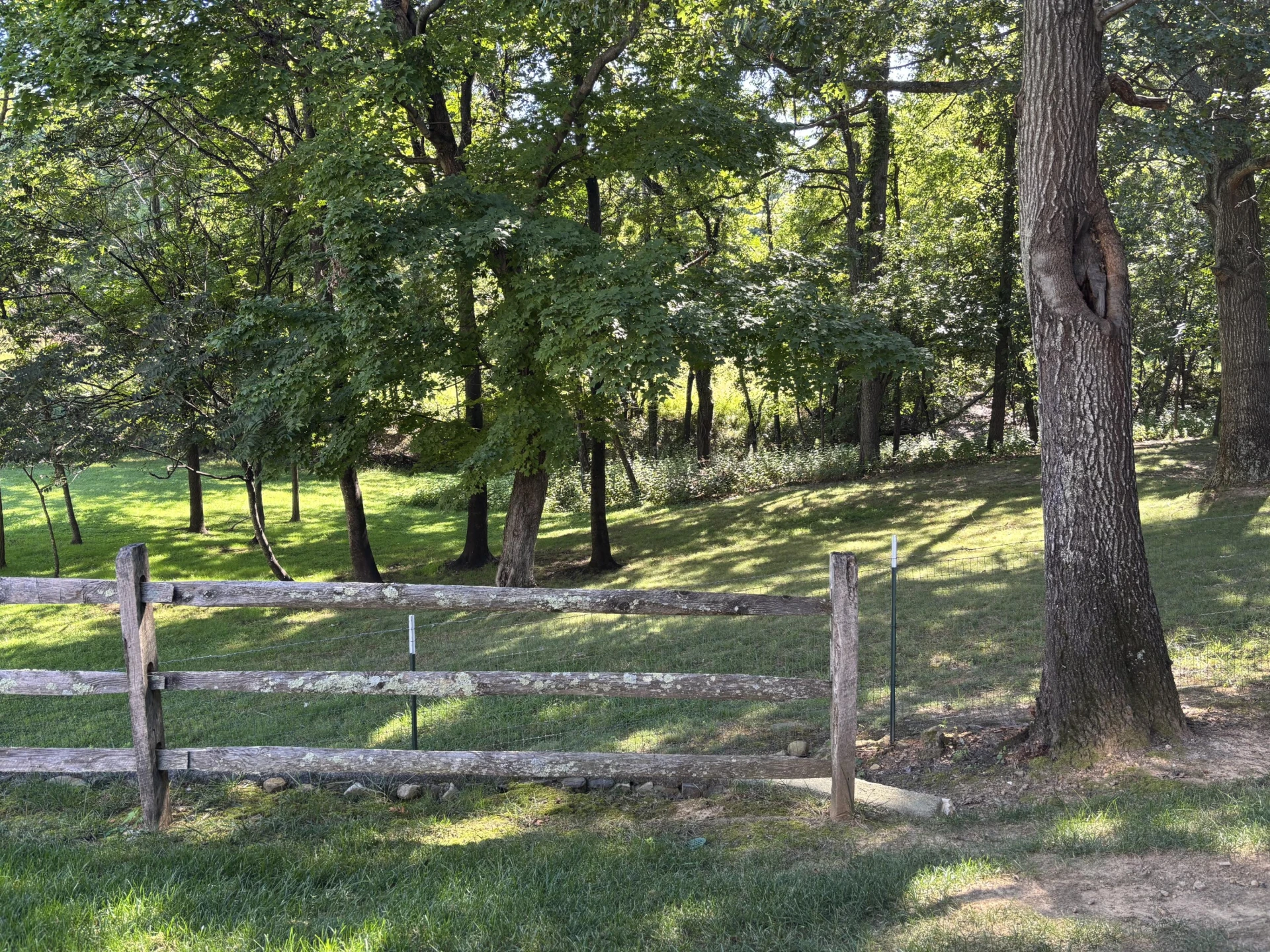 460 Deer Run CIR - Photo 25
