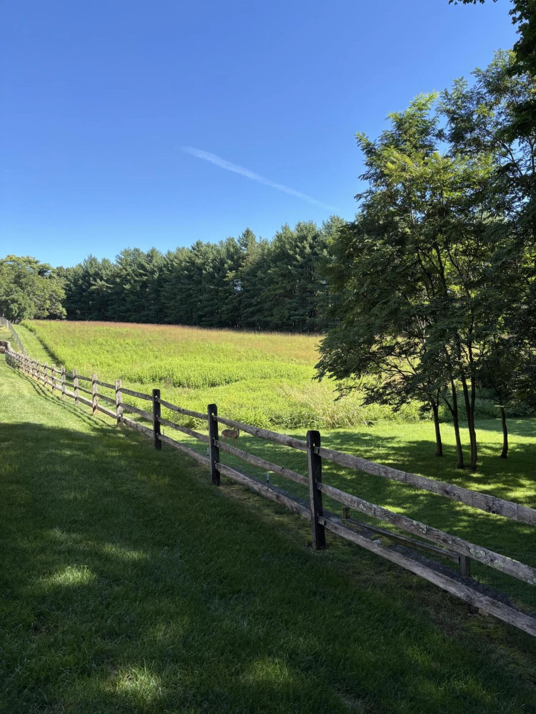 460 Deer Run CIR - Photo 26
