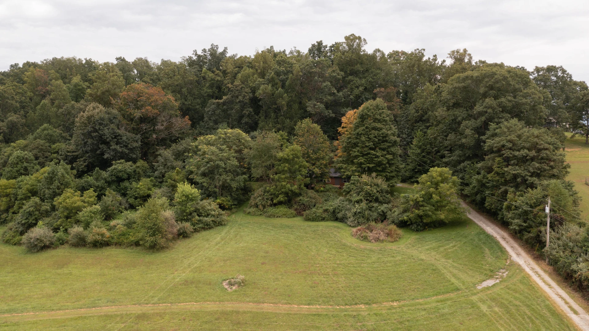 85 Little Paws LN - Photo 11