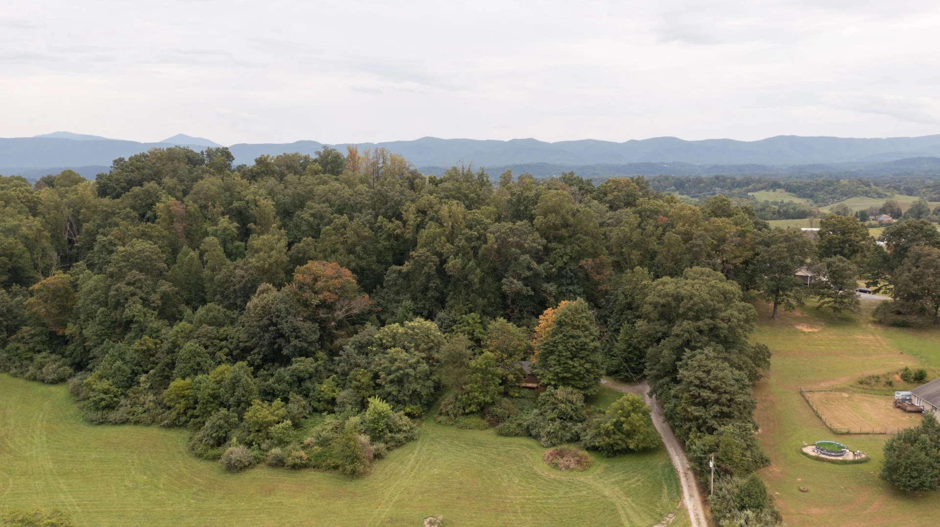 85 Little Paws LN - Photo 12