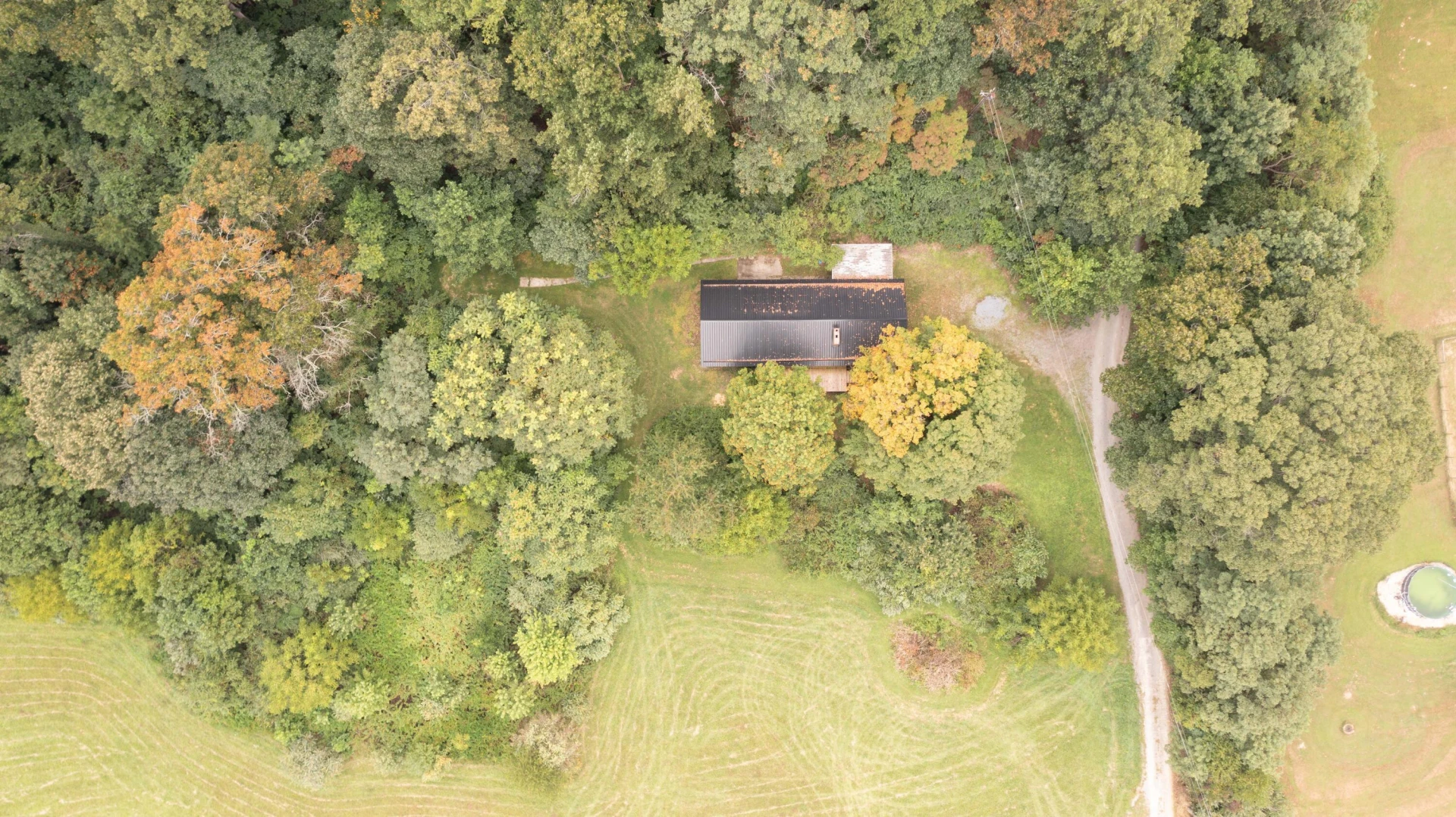 85 Little Paws LN - Photo 13