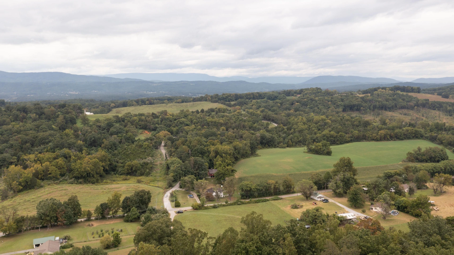 85 Little Paws LN - Photo 14