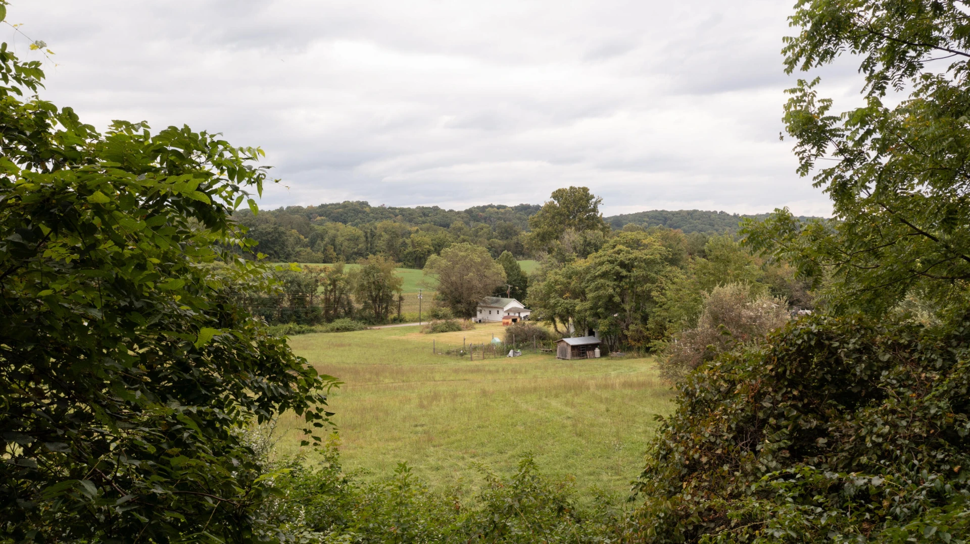 85 Little Paws LN - Photo 16