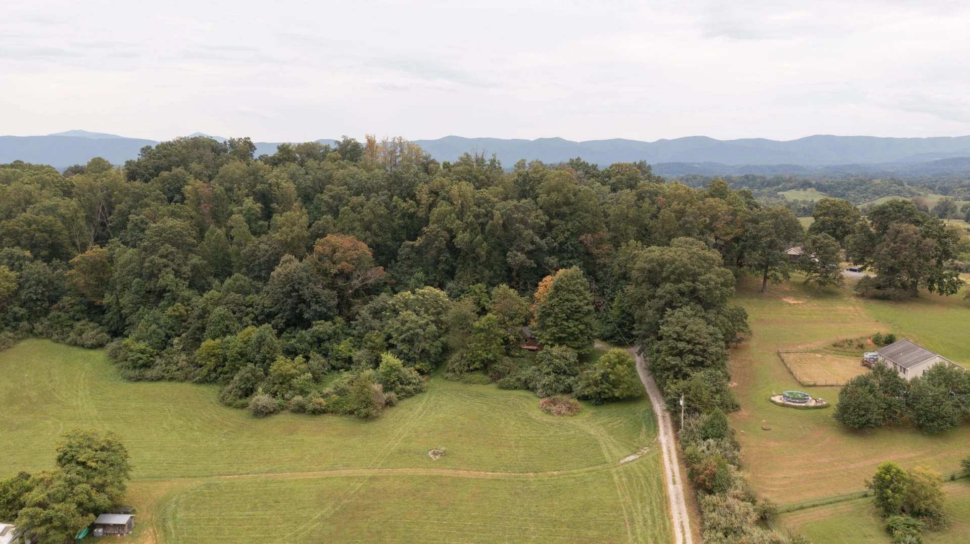 85 Little Paws LN - Photo 2