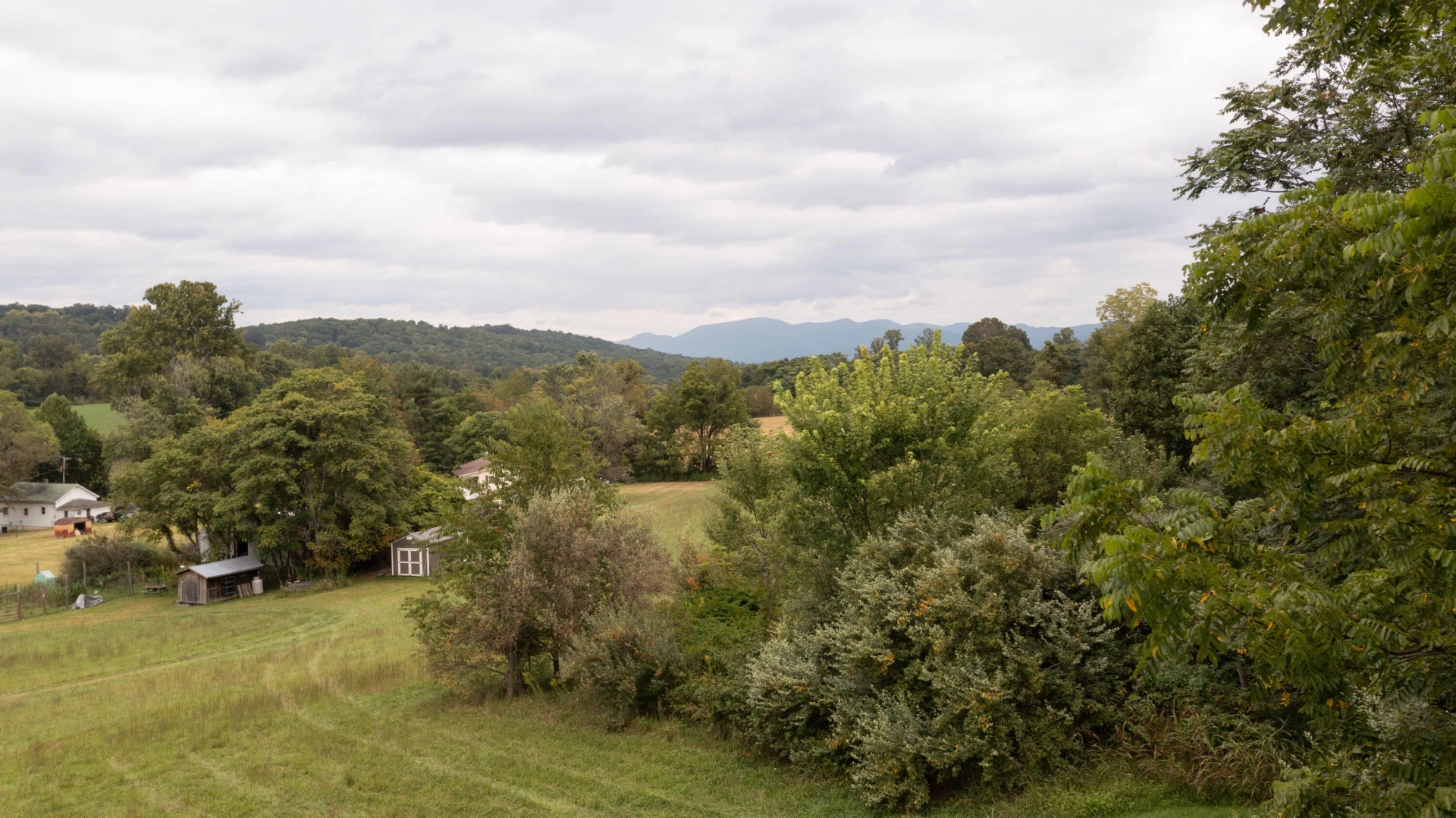 85 Little Paws LN - Photo 3
