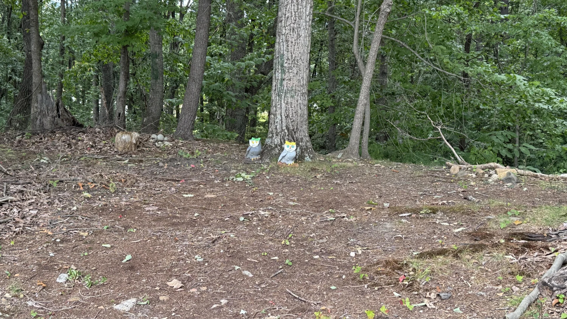 2917 Elderwood RD - Photo 23