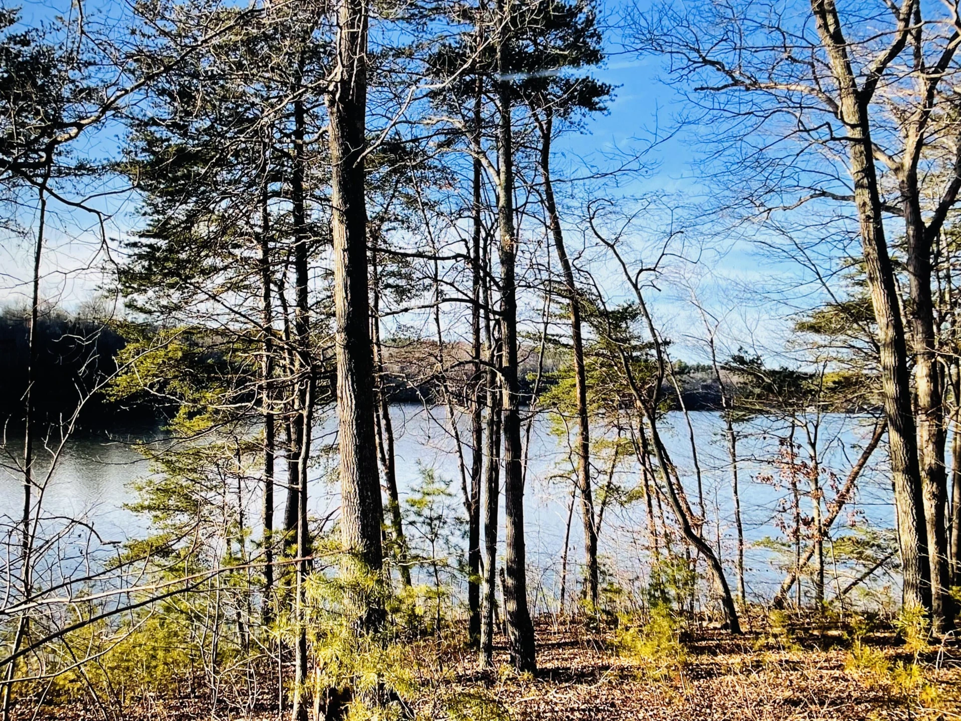 Lot 34 Water View CT - Photo 3