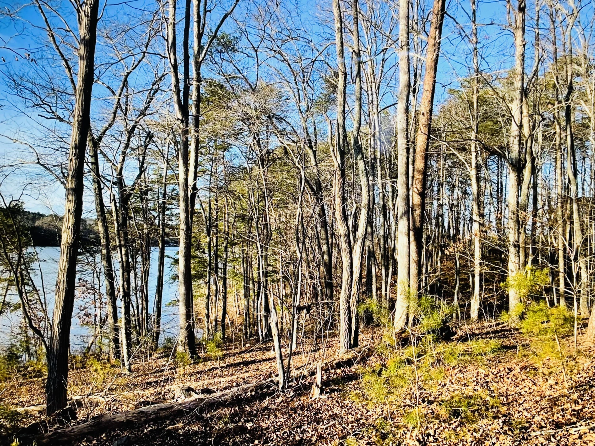 Lot 34 Water View CT - Photo 4