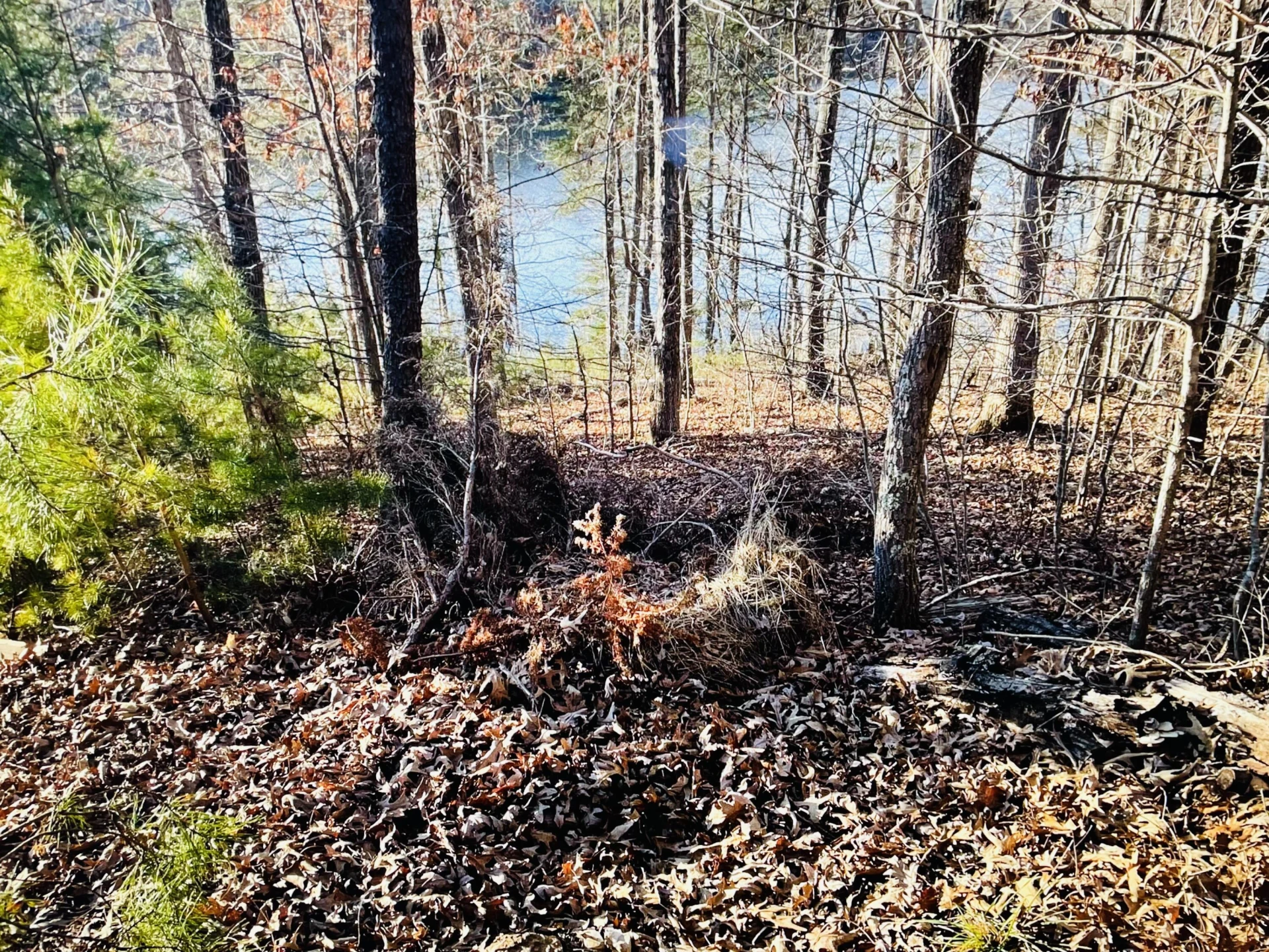 Lot 34 Water View CT - Photo 5