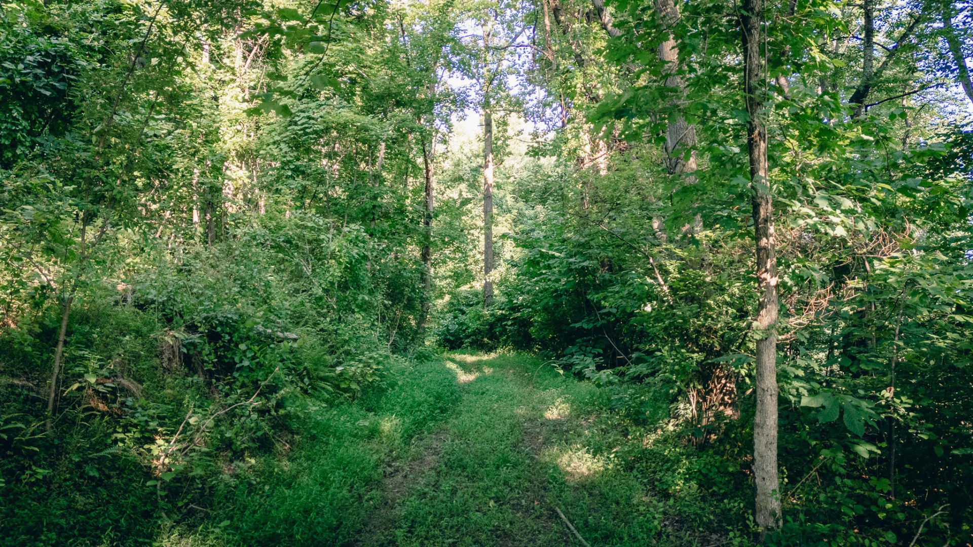 0 Johnson School RD - Photo 12