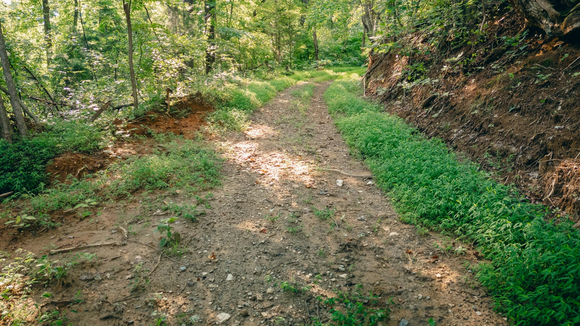 0 Johnson School RD - Photo 14