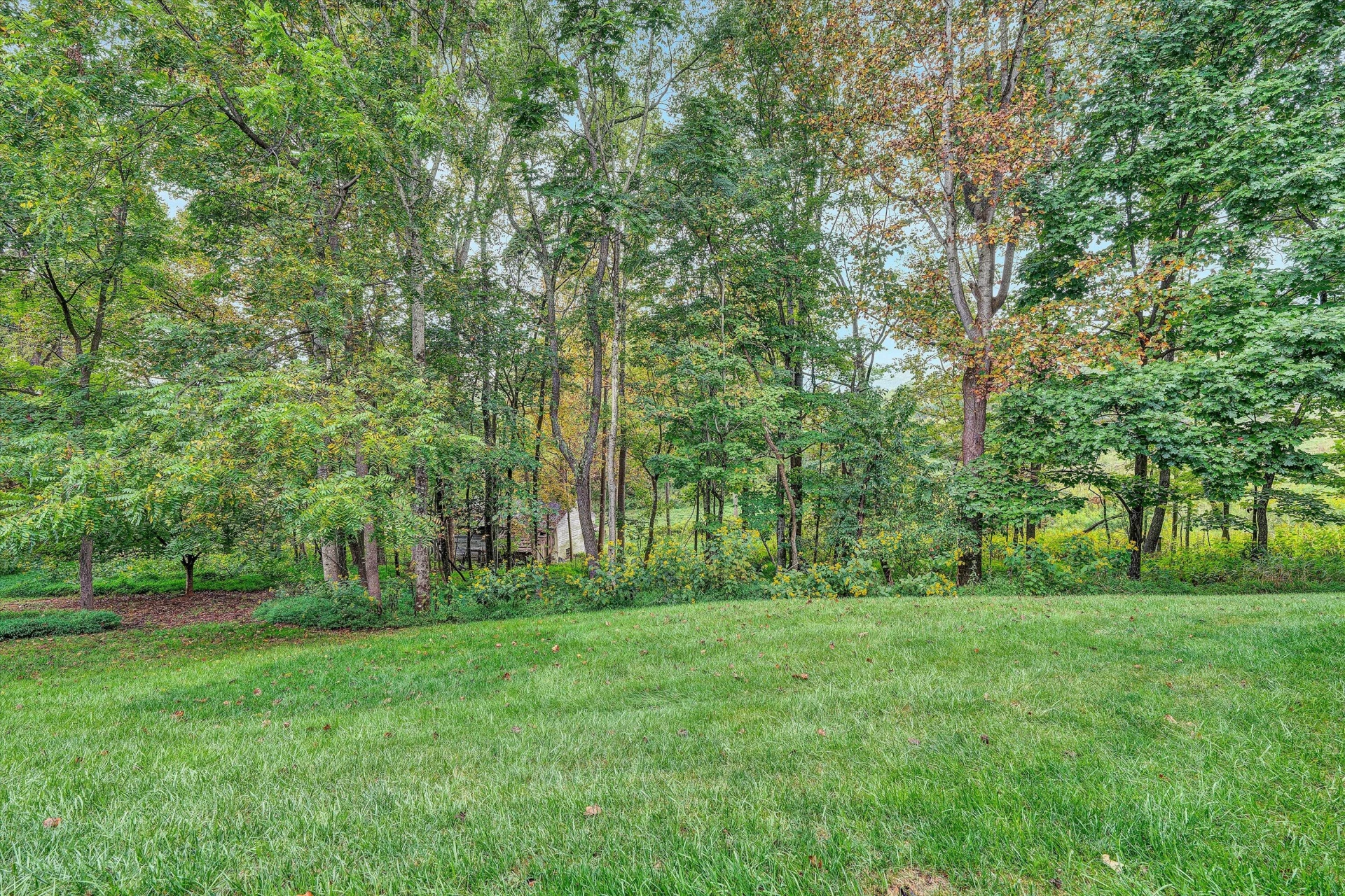 5440 Ridgelea Estates DR - Photo 71