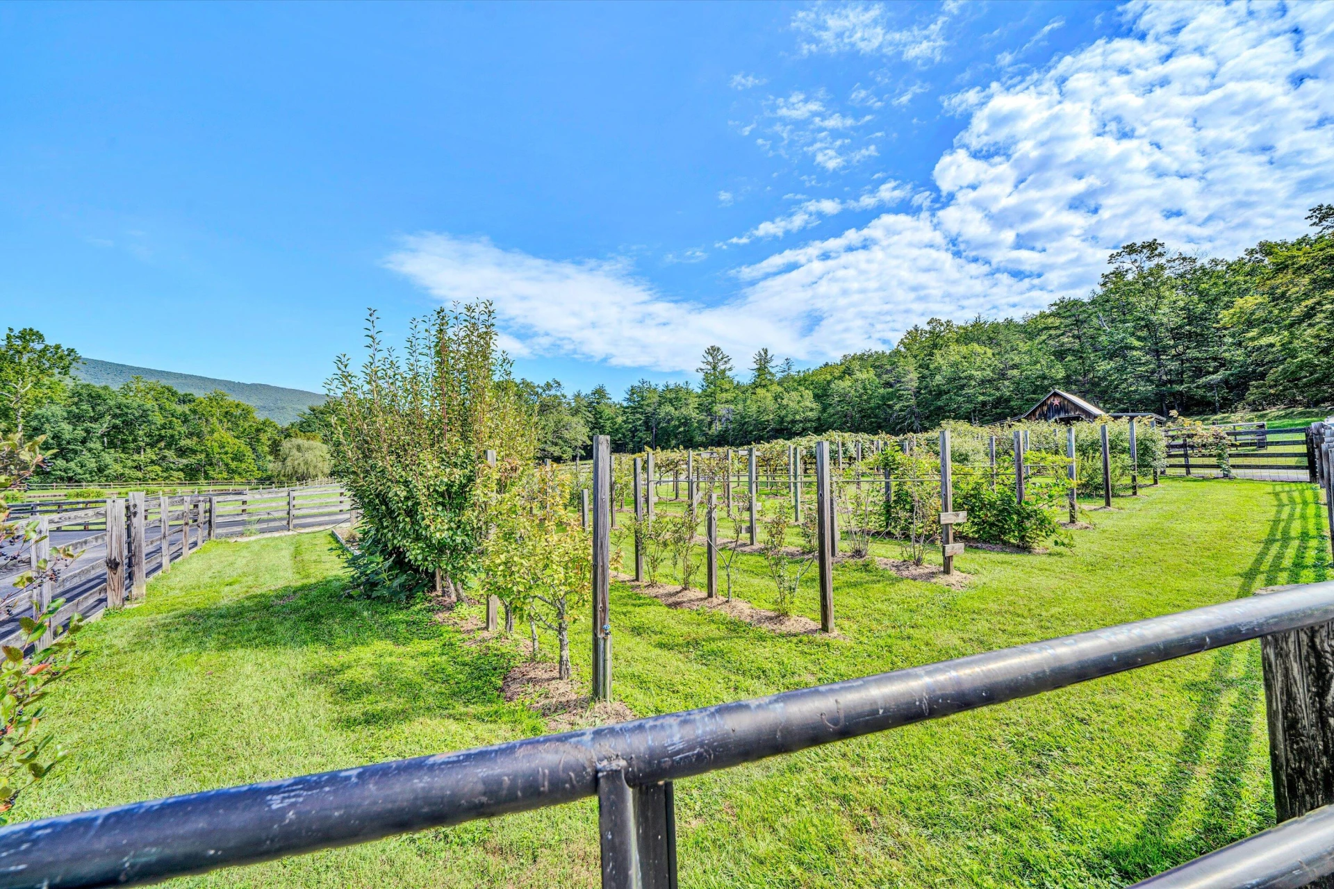 184 Abbott Valley DR - Photo 105