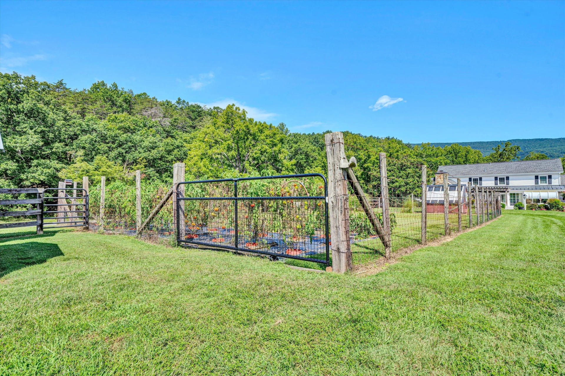 184 Abbott Valley DR - Photo 110