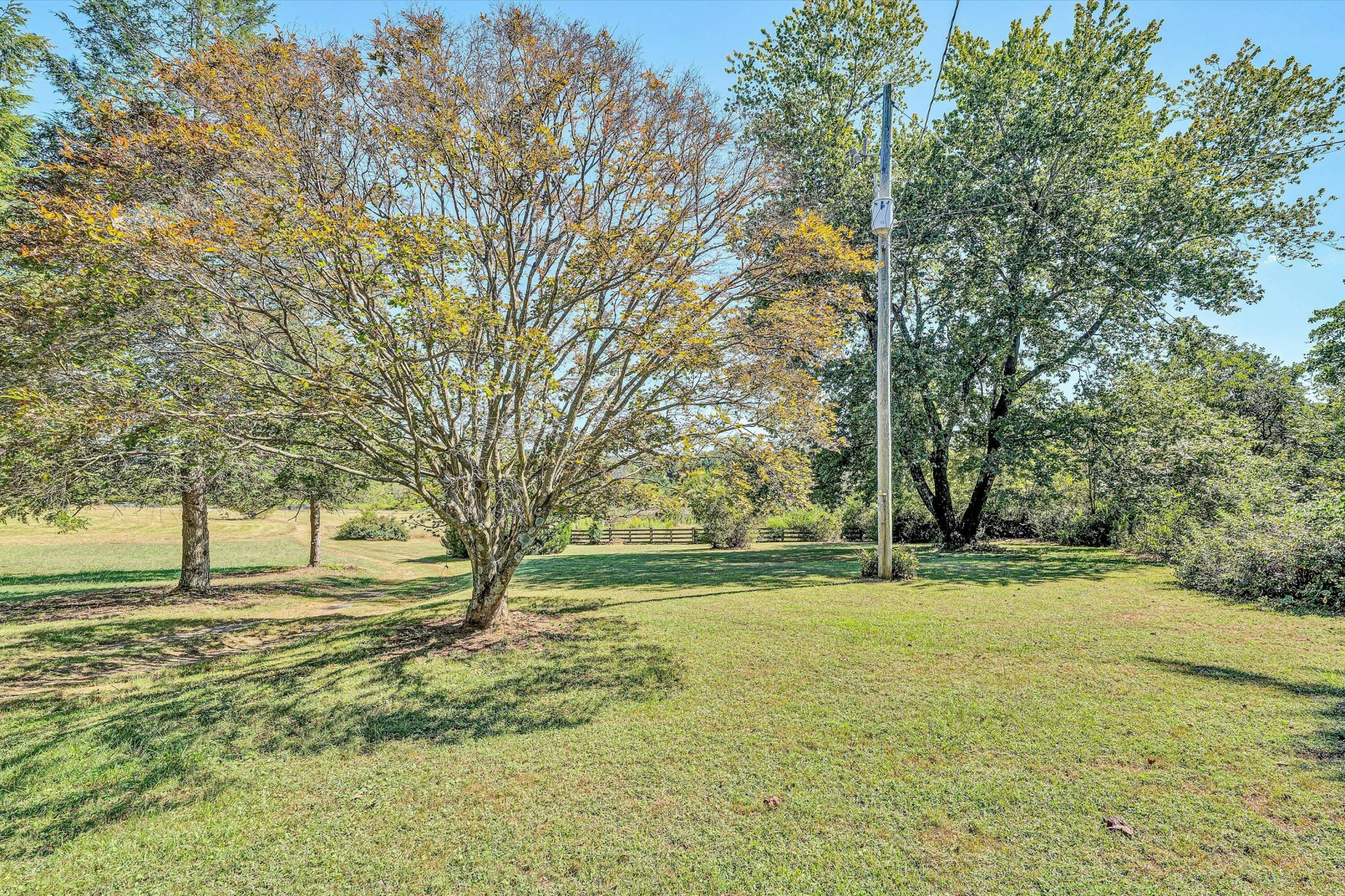 11299 Moneta RD - Photo 12