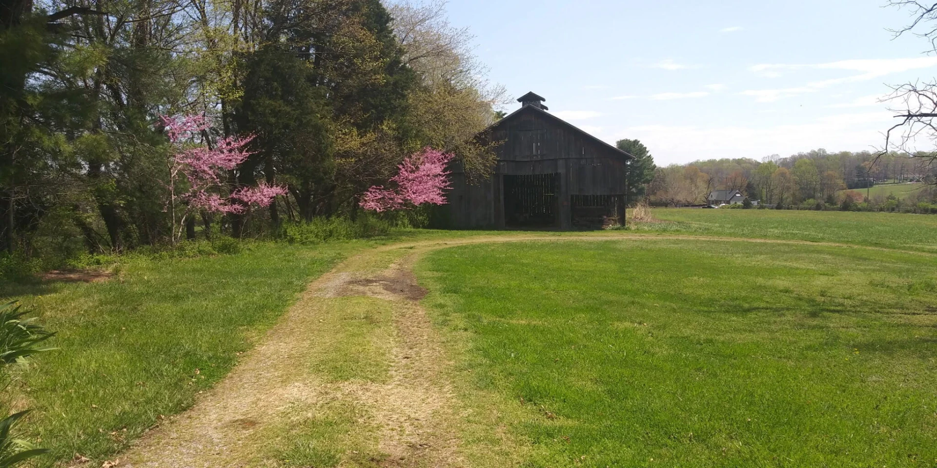 11299 Moneta RD - Photo 22