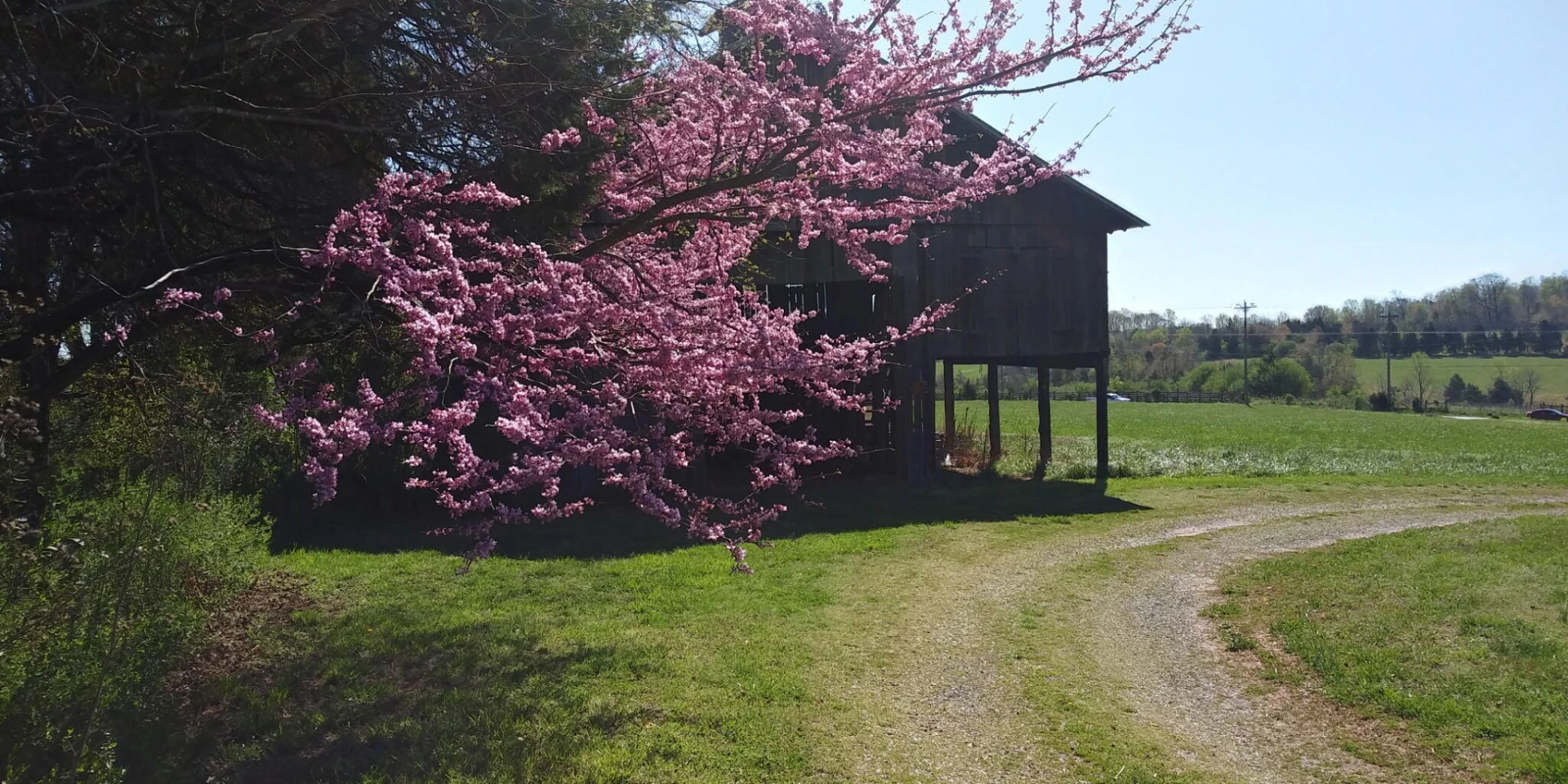 11299 Moneta RD - Photo 23