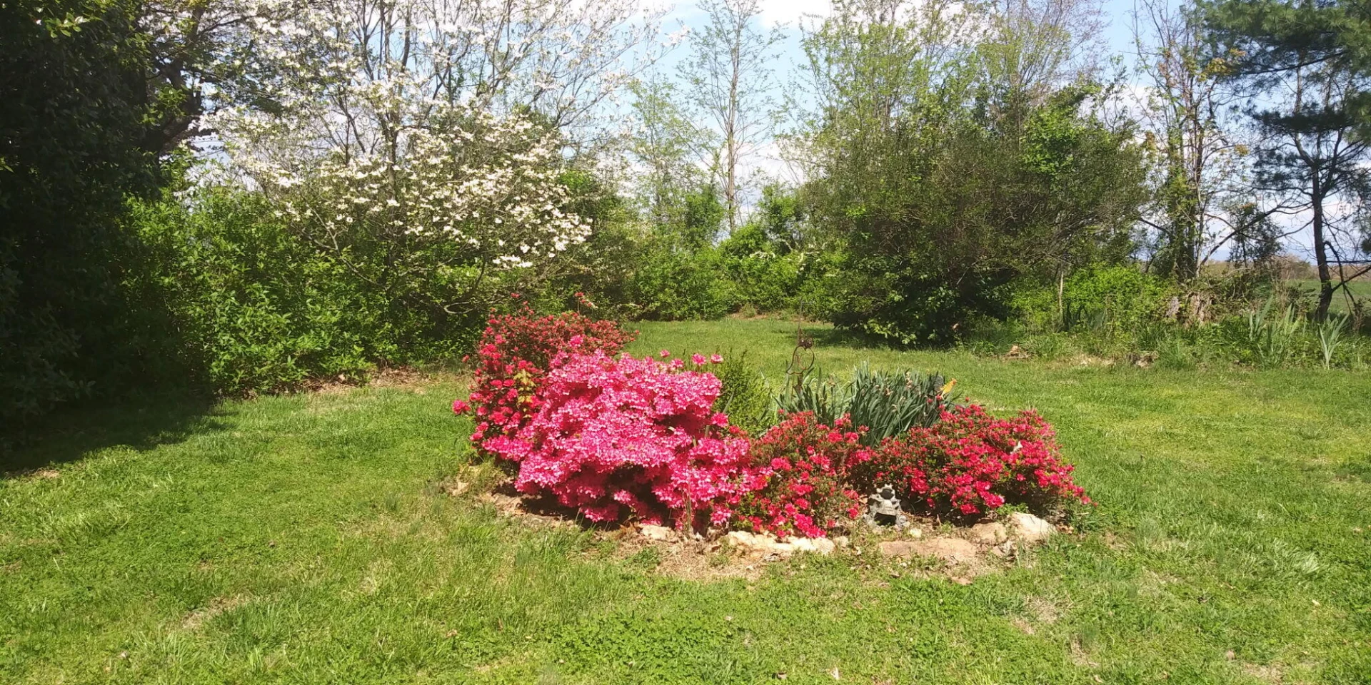 11299 Moneta RD - Photo 24