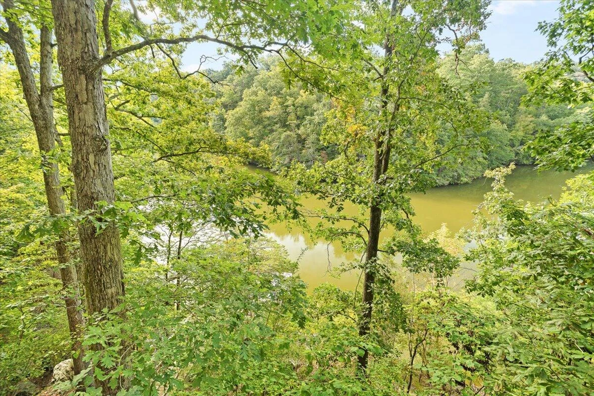 165 Poplar DR - Photo 39