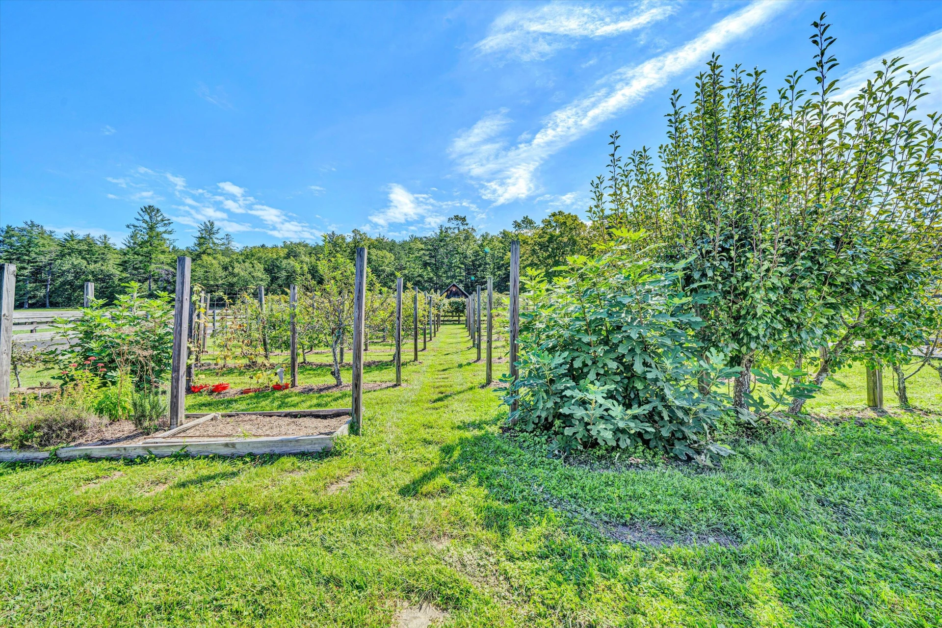 184 Abbott Valley DR - Photo 114