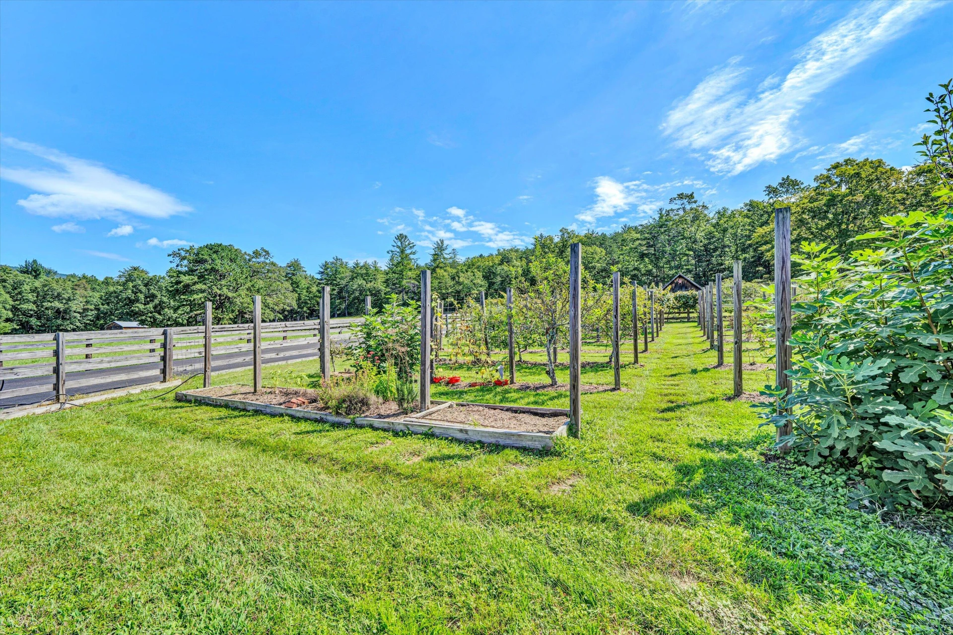 184 Abbott Valley DR - Photo 115