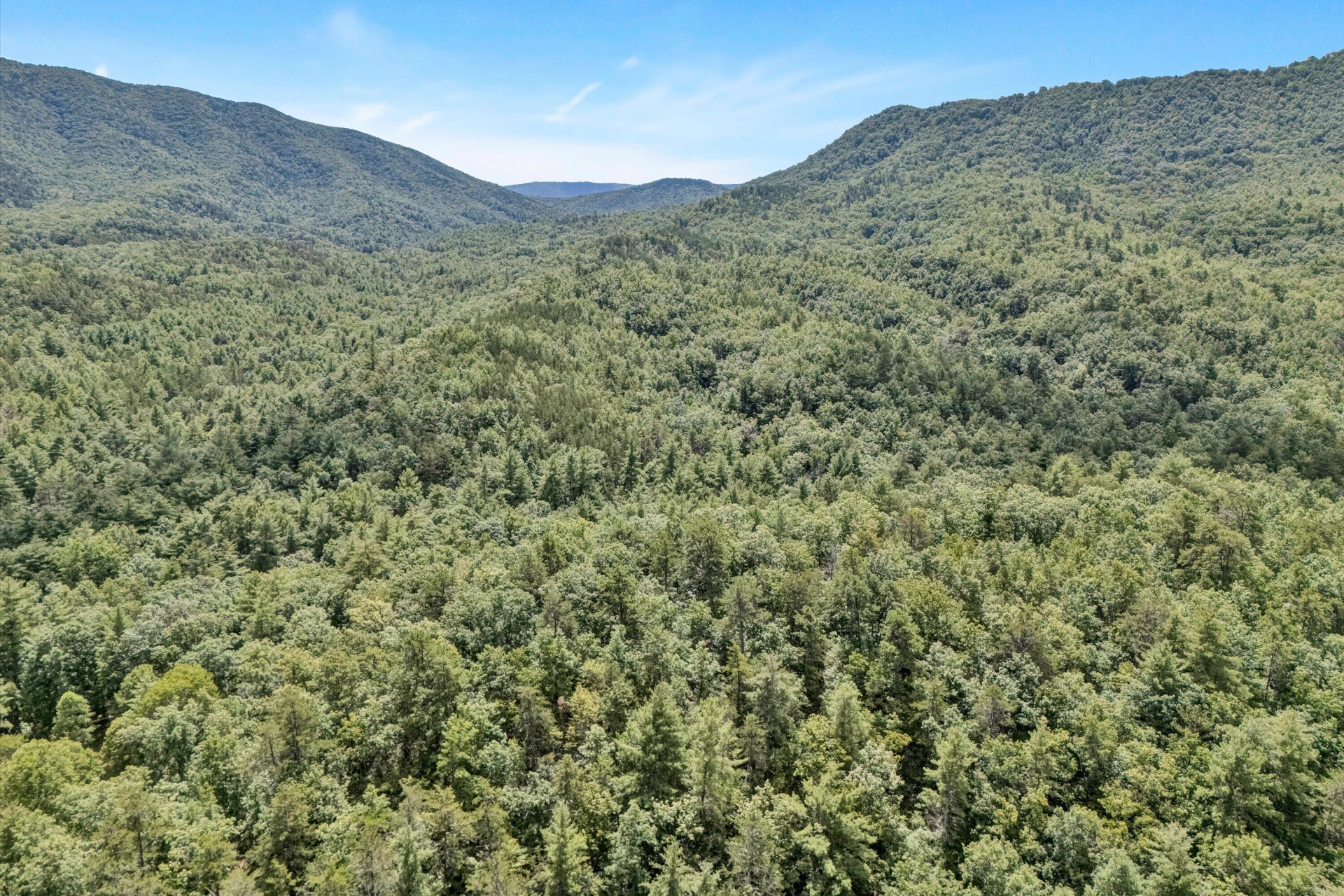 184 Abbott Valley DR - Photo 123