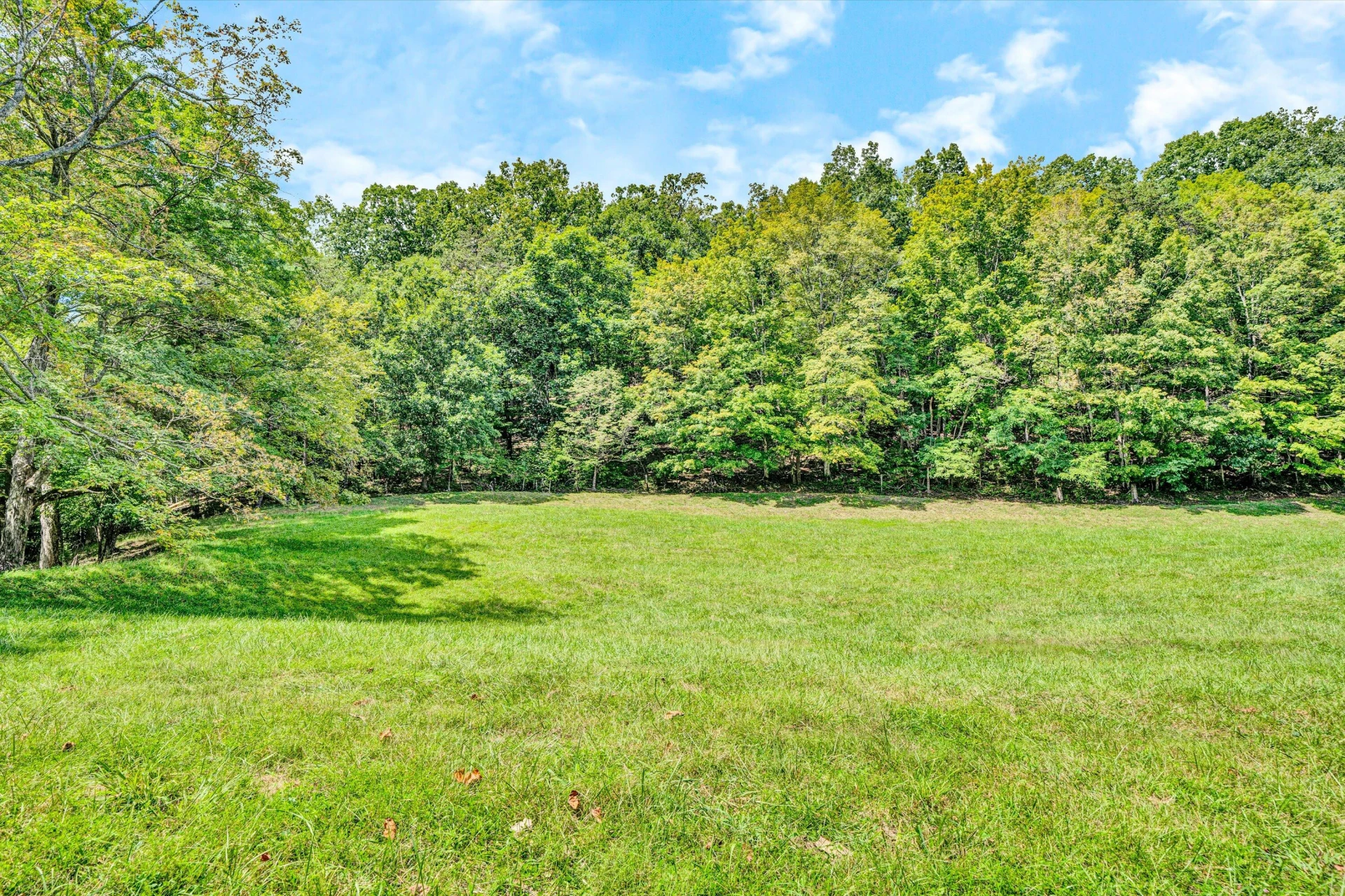 184 Abbott Valley DR - Photo 146