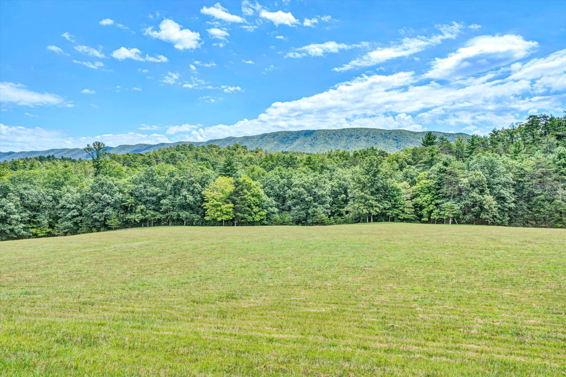 184 Abbott Valley DR - Photo 149