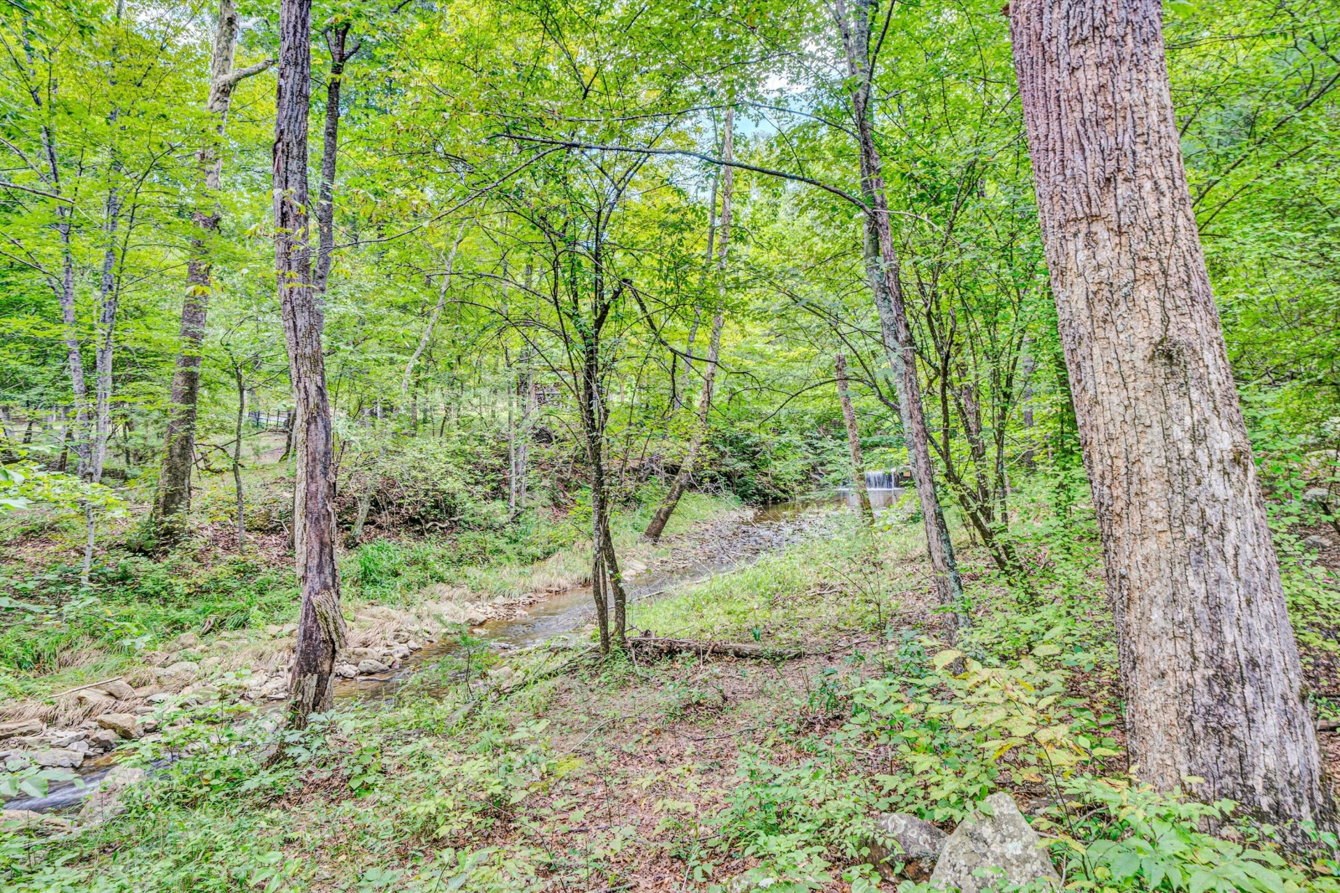 184 Abbott Valley DR - Photo 151