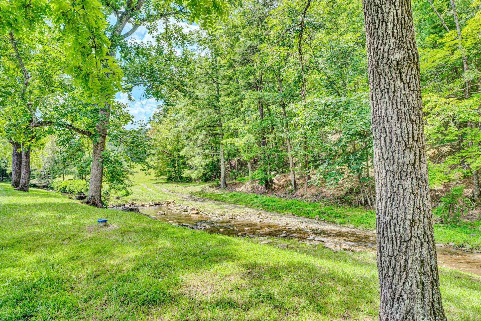184 Abbott Valley DR - Photo 156